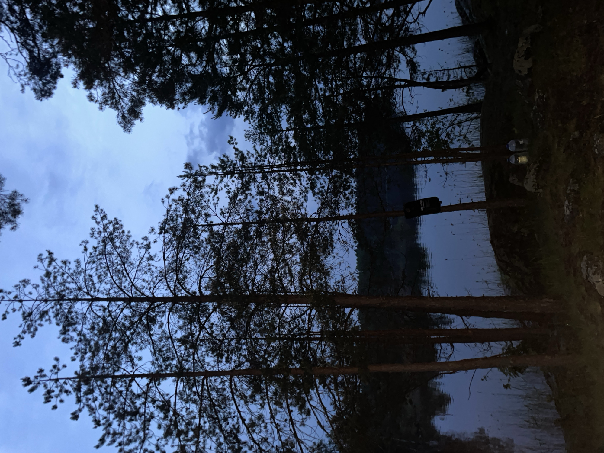 The image captures a serene, dimly lit natural landscape at twilight or dawn, purportedly located in Boitsovo, Russia. The sky, visible above and between the tree canopies, displays a deep blue hue with scattered, darker clouds, indicating an overcast or partially cloudy condition.
The foreground is dominated by the dark silhouettes of numerous tall, slender coniferous trees, identifiable as pines by their needle-like foliage and characteristic trunk structures. The trunks, particularly those closer to the viewer, exhibit a reddish-brown tone against the ambient light. These trees line the edge of a calm body of water, likely a lake or wide river, which occupies the midground. The water's surface reflects the deep blue of the sky and shows minimal ripples.
The immediate ground level on the right side of the frame consists of rocky terrain interspersed with sparse vegetation, including some reeds or tall grasses growing near the water's edge.
Specific objects are visible in the foreground:
* Attached to the trunk of a tree on the left side, approximately midway up, hangs a dark, rectangular object, possibly a portable container or bag, with light-colored text partially visible that reads "CAMP VOLT" or similar.
* On the ground in the lower-middle to lower-right section, two clear plastic bottles are placed amongst rocks and ground cover. One of these bottles emits a faint, internal yellow-white glow, indicating an artificial light source contained within it, while the other bottle remains unilluminated.
No individuals or discernible human activity are depicted in the scene. The overall impression is one of quiet solitude in a natural, forested waterside environment.