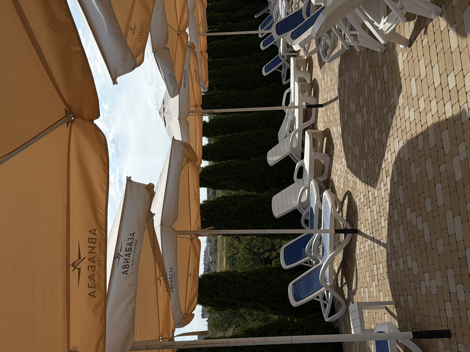The image depicts an outdoor lounge area with rows of white lounge chairs under large, light brown umbrellas. The lounge chairs are arranged on a brick-paved patio. Behind the lounge chairs, a dense row of tall, dark green evergreen trees forms a backdrop. Beyond the trees, in the distance, there are buildings characteristic of a city or town, suggesting an urban or suburban setting. The sky above is partly cloudy. The umbrellas have logos that appear to be in Cyrillic script. Based on the presence of these logos and the architectural style of the distant buildings, this location is likely the "Aviabaza" recreation center in Kamyshin, Russia, a resort known for its leisure facilities. There are no people visible in the image.