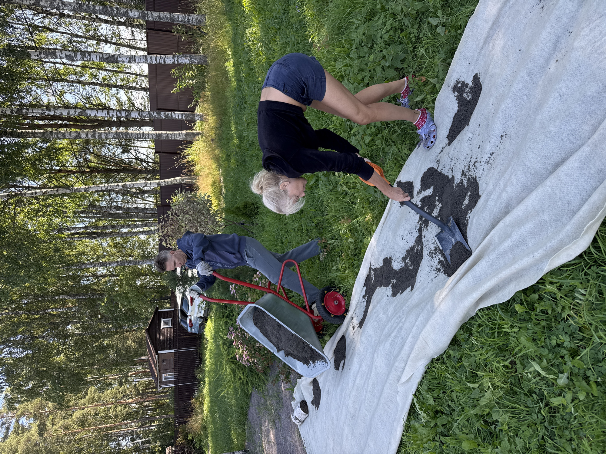 In Steklyannyi, Russia, two individuals are engaged in a landscaping task in a residential yard. A man, wearing a blue hoodie and gray pants, is pushing a red wheelbarrow filled with dark soil. He is in the process of tipping the wheelbarrow to unload its contents onto a large piece of white geotextile fabric spread on the grass. A woman, dressed in a black hoodie and dark blue shorts, is bending over and using a shovel to spread the soil that has been dumped from the wheelbarrow. The geotextile is laid out on a green lawn, with a wooden fence and trees, including birch trees, visible in the background. A small wooden building and two parked cars are also present in the yard, suggesting a residential setting. The overall environment appears to be an outdoor, suburban area during daylight hours.