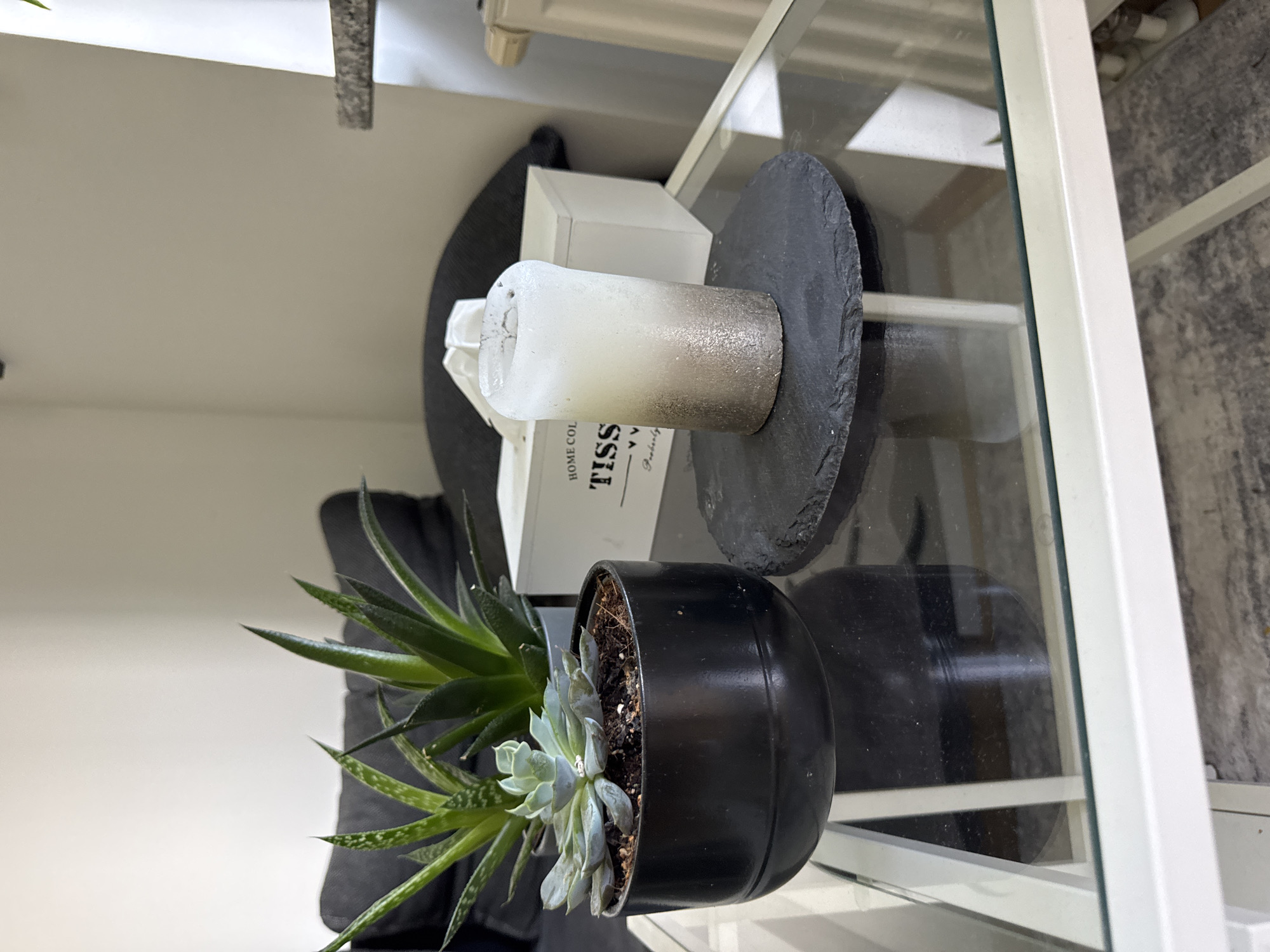 In Höhenkirchen-Siegertsbrunn, Germany, a clear glass-top coffee table sits in a room with a light-colored wall and a dark sofa. On the table, a black planter holds two succulents: a pale green Echeveria and a taller Aloe vera with spotted leaves. To the right, a white tissue box with "HOME COLLECTION TISSUE" printed on it sits behind a cylindrical candle that is white at the top and transitions to a glittery silver at the bottom. The candle rests on a dark, circular slate coaster. The scene is lit by natural light, creating reflections on the glass table.