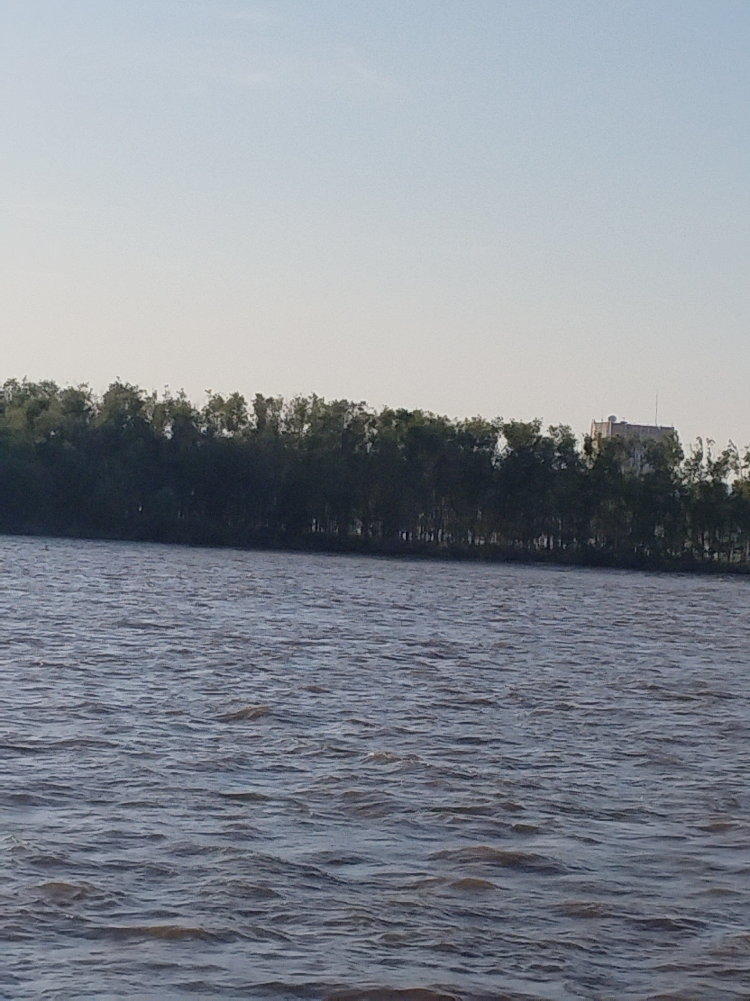 A wide shot captures a body of water in the foreground, with a dense line of trees on the far bank. In the distance, a multi-story building with a light-colored facade is visible amidst the trees. The sky is a pale, hazy blue with no clouds. The image is likely a view from a boat or the shore of the Amur River in Komsomolsk-on-Amur, Russia, given the characteristic landscape and the presence of a substantial building on the riverside. The water is rippled, suggesting a gentle current or wind.