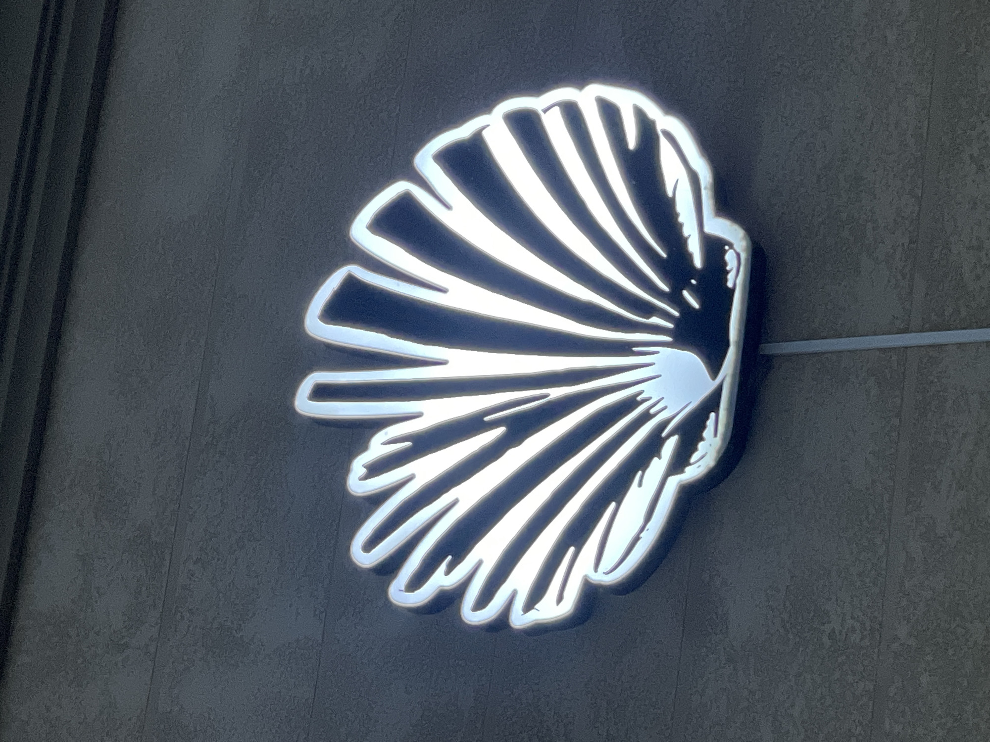 A neon sign in the shape of a scallop shell is mounted on a textured, dark gray building wall. The sign is illuminated with a bright white light that creates a glowing halo around its edges and highlights the interior ribbed design. A thin gray wire or rod extends downwards from the bottom of the sign, anchoring it to the wall. The background wall appears to be made of concrete or stucco, with horizontal lines suggesting construction joints. The setting is outdoors, likely in a public space in the city of Aktau, Kazakhstan.