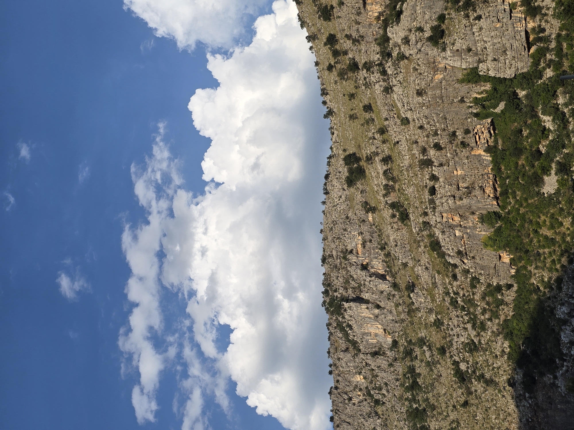 A vertical, full-frame, naturalistic photograph shows a sunlit mountain slope under a bright blue sky with scattered white cumulus clouds. The mountain is rocky and rugged, with a steep incline covered in sparse vegetation and scattered trees. The rock face is a mix of grey and tan hues, with visible layers and crevices. The lower part of the mountain is covered in denser green foliage, creating a stark contrast with the rocky upper sections. The sky takes up the top third of the image, featuring a band of large, puffy white clouds that stretch across the frame, casting subtle shadows on the mountain below. The scene depicts a natural, uninhabited landscape. The image likely depicts the mountains surrounding Podgorica, Montenegro, as such rugged, vegetated mountain slopes are characteristic of the region's natural environment. There are no people or man-made objects visible in the image.