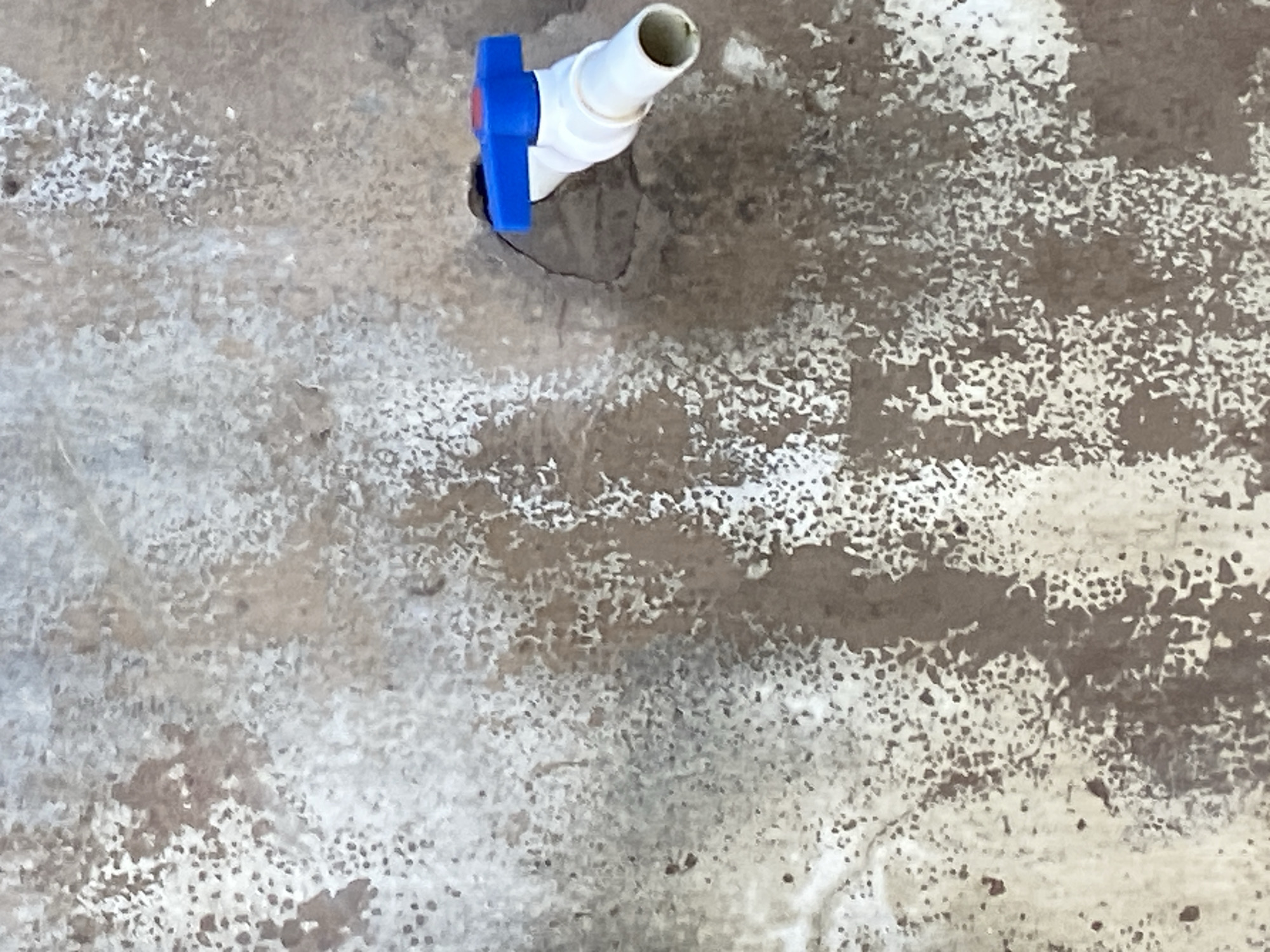 A white plastic faucet with a blue handle is protruding from a hole in a rough, mottled brown and white concrete wall. The faucet is angled downwards and to the right, with its opening visible. The wall's surface is uneven, with patches of lighter and darker discoloration and a rough texture. The scene appears to be outdoors, with no other objects or people visible in the immediate vicinity.