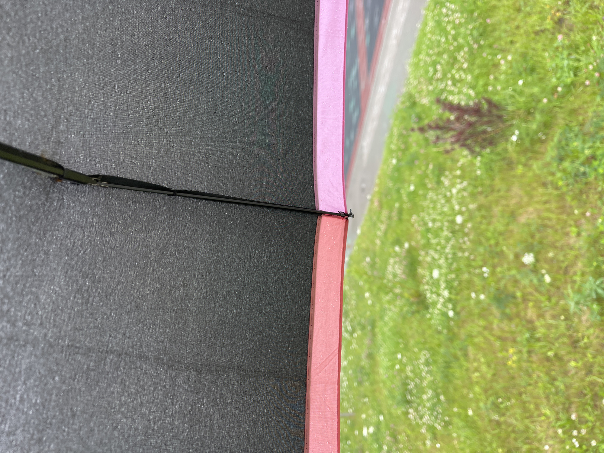 This image depicts a close-up view of the underside of a black and pink umbrella. The umbrella fabric is visible, with some water droplets on its surface, suggesting it is raining or has recently rained. Below the umbrella, a blurred green grassy area with small white flowers can be seen. In the background, a hint of a paved area with red and dark markings is visible, possibly a road or walkway. The overall scene suggests an outdoor environment, likely in a park or residential area, during inclement weather. The image does not contain any people or specific landmarks that would definitively place it in Zelenogradsk, Russia, but the elements present are consistent with an urban or suburban setting.
