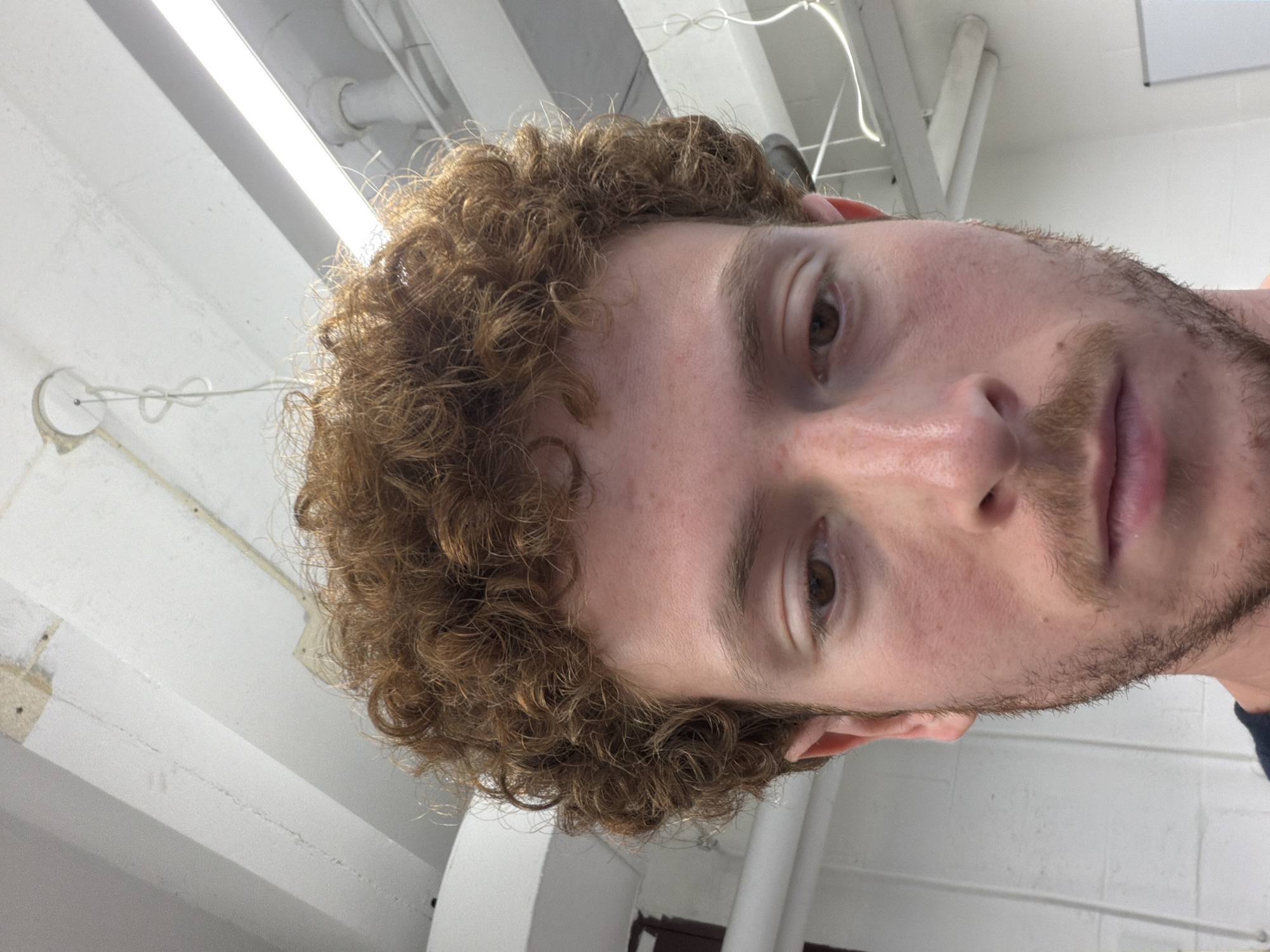 The image shows a close-up, angled portrait of a young man from a low perspective, giving the impression he is looking down at the camera. He has light brown, curly hair that appears a bit disheveled, and a reddish-brown beard and mustache. His skin is fair, with some visible freckles or blemishes. His eyes are open and brown, and his expression is neutral, appearing slightly tired or contemplative.
The background consists of a white or light gray ceiling with exposed rectangular beams, suggesting a utilitarian or industrial indoor setting. A long, bright fluorescent light fixture is prominently visible on the ceiling, illuminating the scene. White pipes and some wiring are also visible, hanging from or running along the ceiling. In some cropped views, parts of a white wall, possibly constructed from cinder blocks, can be seen in the lower half of the frame. There is no discernible activity taking place other than the man posing for the camera. No text is visible in the image. The overall lighting is artificial and bright.