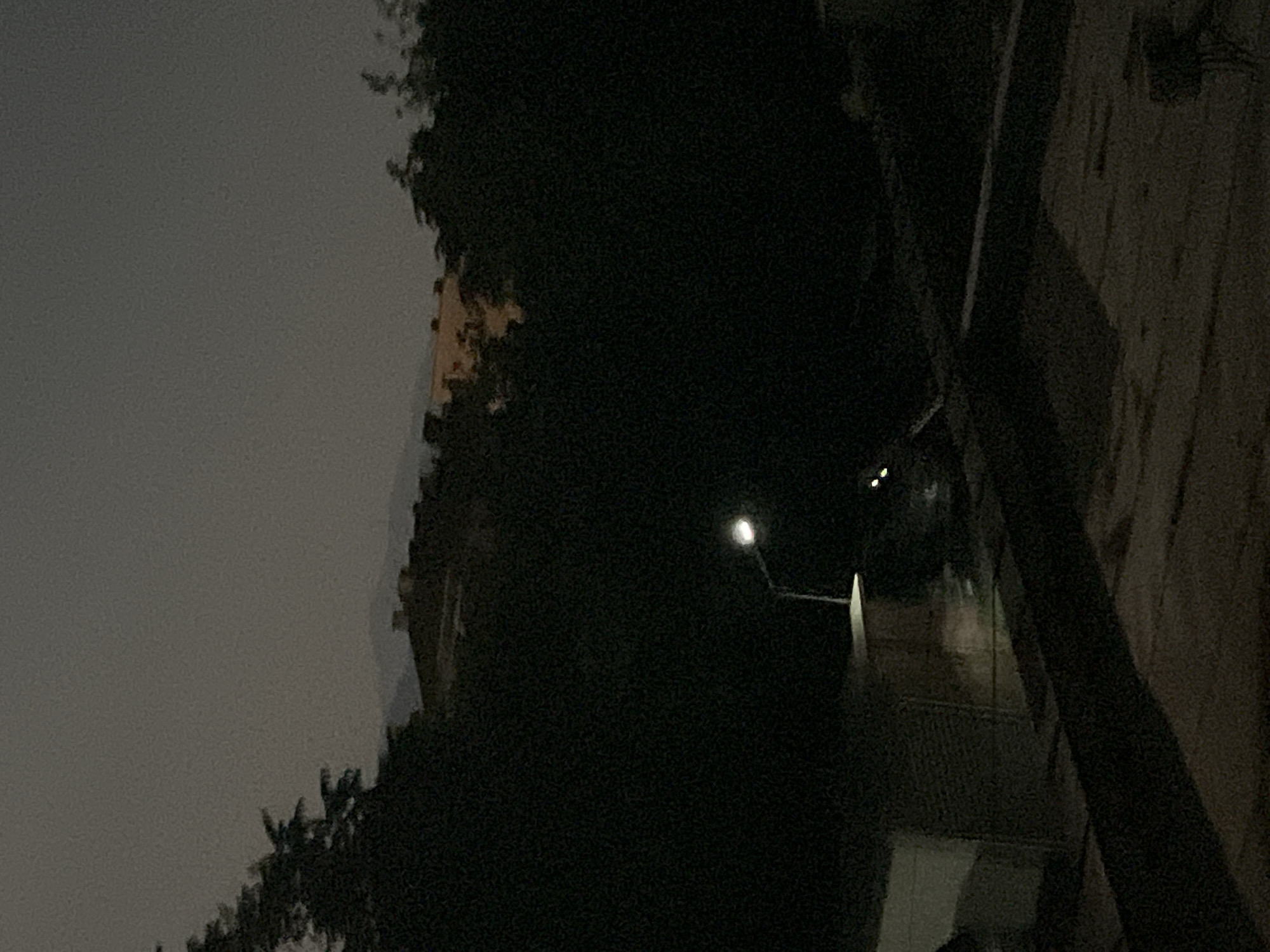 This is a nighttime photograph taken from a slightly elevated position. The scene appears to be an outdoor urban environment, possibly a residential area or a park on the outskirts of Blagoevgrad, Bulgaria. In the foreground, a dark, textured surface, likely a rooftop or pavement, dominates the lower portion of the image. A thin, dark structure, possibly a railing or a low wall, runs horizontally across the middle ground.
To the left of the frame, a portion of a light-colored, rectangular building or structure is visible. Its surface texture appears to be corrugated or paneled. Above and behind this structure, a single streetlamp with a lit, circular bulb on a pole is present. The lamp casts a faint glow on its immediate surroundings.
In the background, a dense mass of dark trees forms a thick canopy, obscuring much of what lies beyond. Peeking through the trees at the top of the frame, several buildings with illuminated windows are discernible, suggesting a more built-up area further in the distance. Beyond the buildings, faint outlines of hills or mountains are visible against the hazy, dark sky. The overall atmosphere is dim and quiet, characteristic of a late evening or early morning in an urban setting. No people are visible in the image.