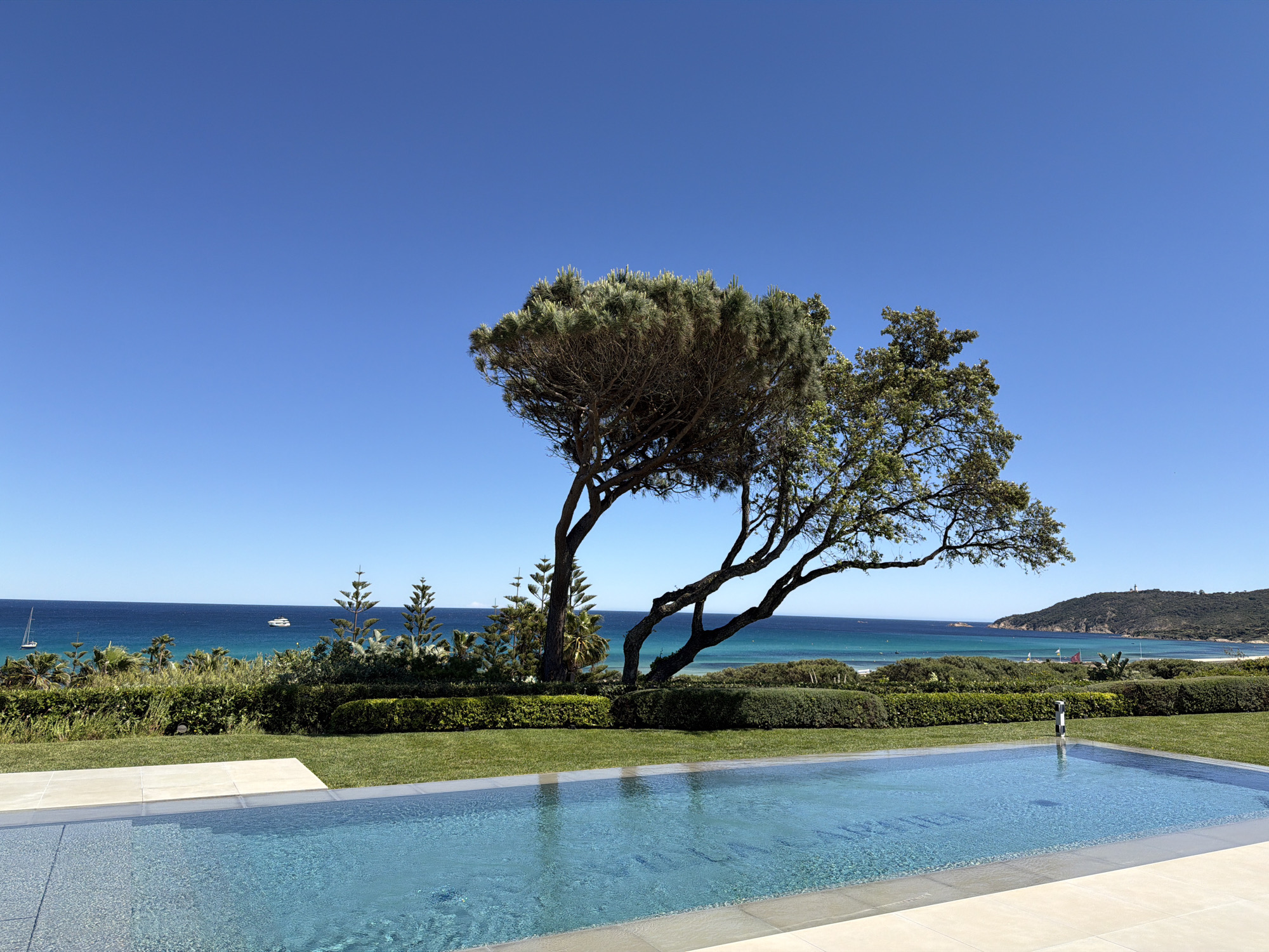 The scene is a sunny landscape overlooking the Mediterranean Sea, likely in Ramatuelle, France, suggested by the coastal geography and vegetation. In the foreground is a rectangular, in-ground swimming pool filled with clear blue water. The pool's edges are lined with light-colored stone. Beyond the pool is a well-maintained lawn and a hedge row that obscures part of the sea view. A distinctive tree with a twisted trunk and a mix of dense, rounded foliage on one side and more sparse leaves on the other stands prominently in the middle ground. The sea is a gradient of blues, with a few boats visible. The coastline features a sandy beach and a headland in the distance. The sky is a clear, bright blue.