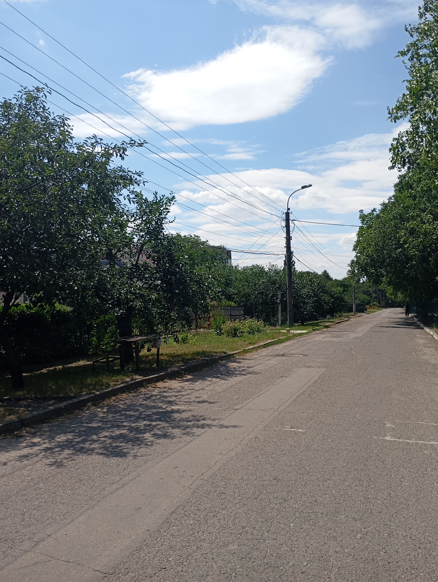 This is a ground-level, eye-level, vertical, medium-distance shot of a paved road in Sozonivka, Ukraine. The road extends into the distance and curves slightly to the right. On the left side of the road, there are trees, a fence, and a small table with a white object on it. On the right side of the road, there are more trees and a person walking away from the camera. The sky is blue with some white clouds. Overhead, there are power lines. The overall scene depicts a quiet, tree-lined street on a sunny day.