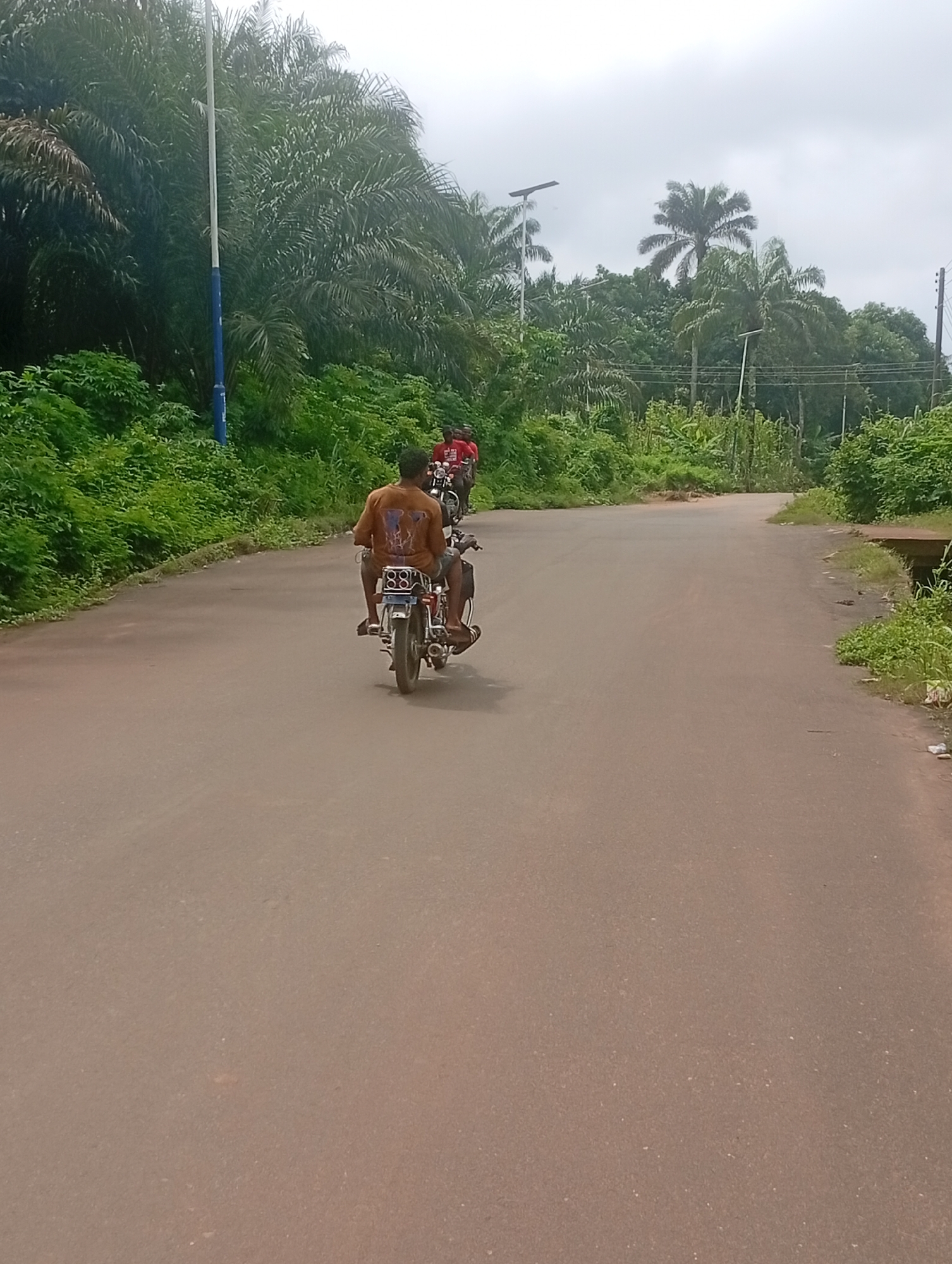 The image shows a paved road in a rural area of Akokwa, Nigeria. Lush green vegetation lines both sides of the road, with tall palm trees and other dense foliage dominating the landscape. A grey, overcast sky suggests a humid or rainy day. In the foreground, a man is riding a motorcycle, facing away from the camera. He is wearing a brown shirt with a graphic design on the back. Another motorcycle, carrying two people, is visible further down the road, also moving away from the viewer. The motorcycles appear to be older models. A blue and white pole, possibly a utility pole or street light, stands near the left edge of the road, surrounded by the greenery. The overall scene depicts a common mode of transportation in a tropical, vegetated environment.