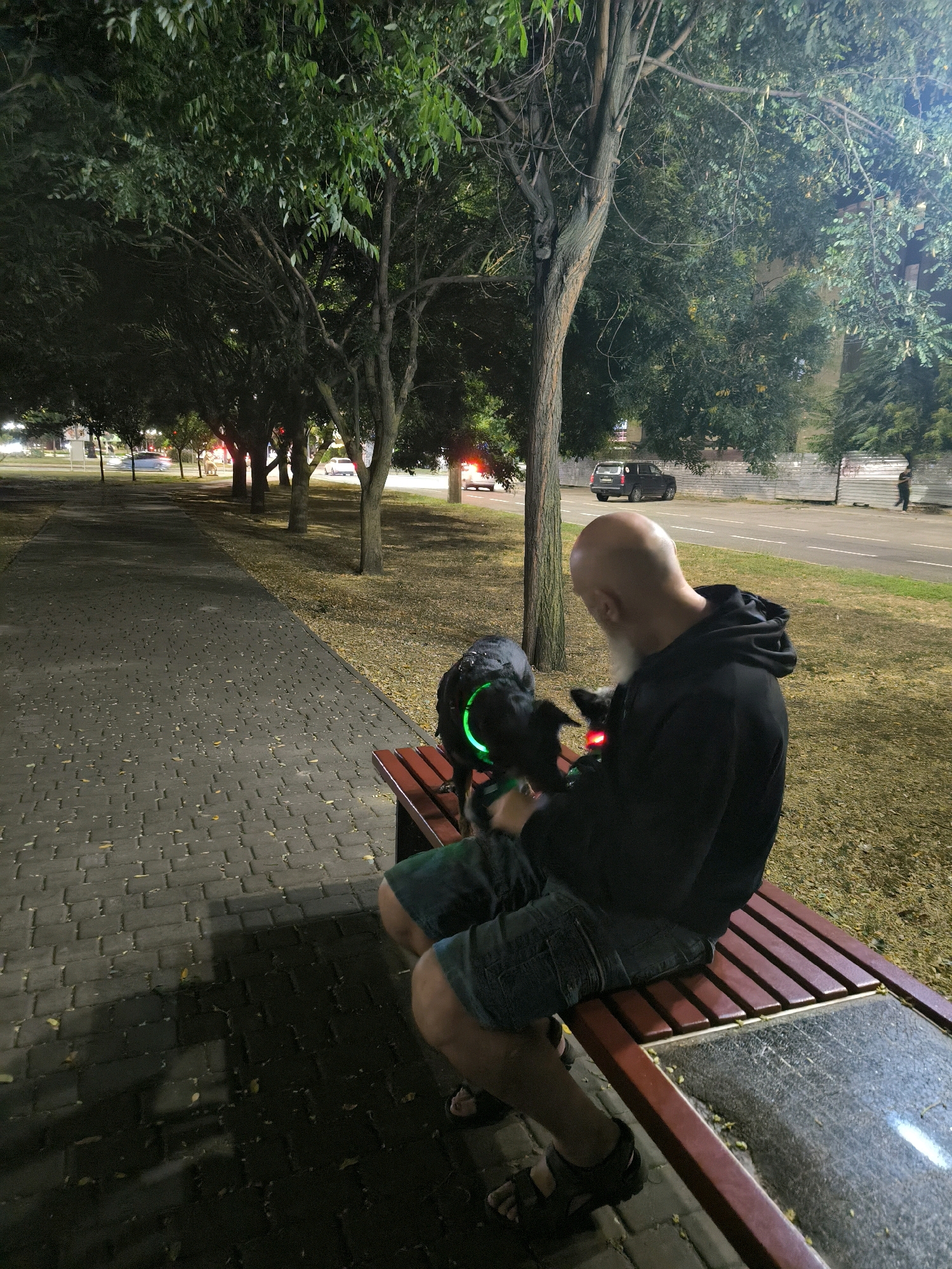 At night, a bald man sits on a park bench next to a paved walkway. The man is wearing a black hoodie and blue denim shorts. He is petting a black dog, which is wearing a green glowing collar. The dog is facing the man. In the background, there is a street with cars and a person walking on the sidewalk. Trees line the walkway and the street. The scene is likely in the city of Mykolaiv, Ukraine, given the context of the original image.