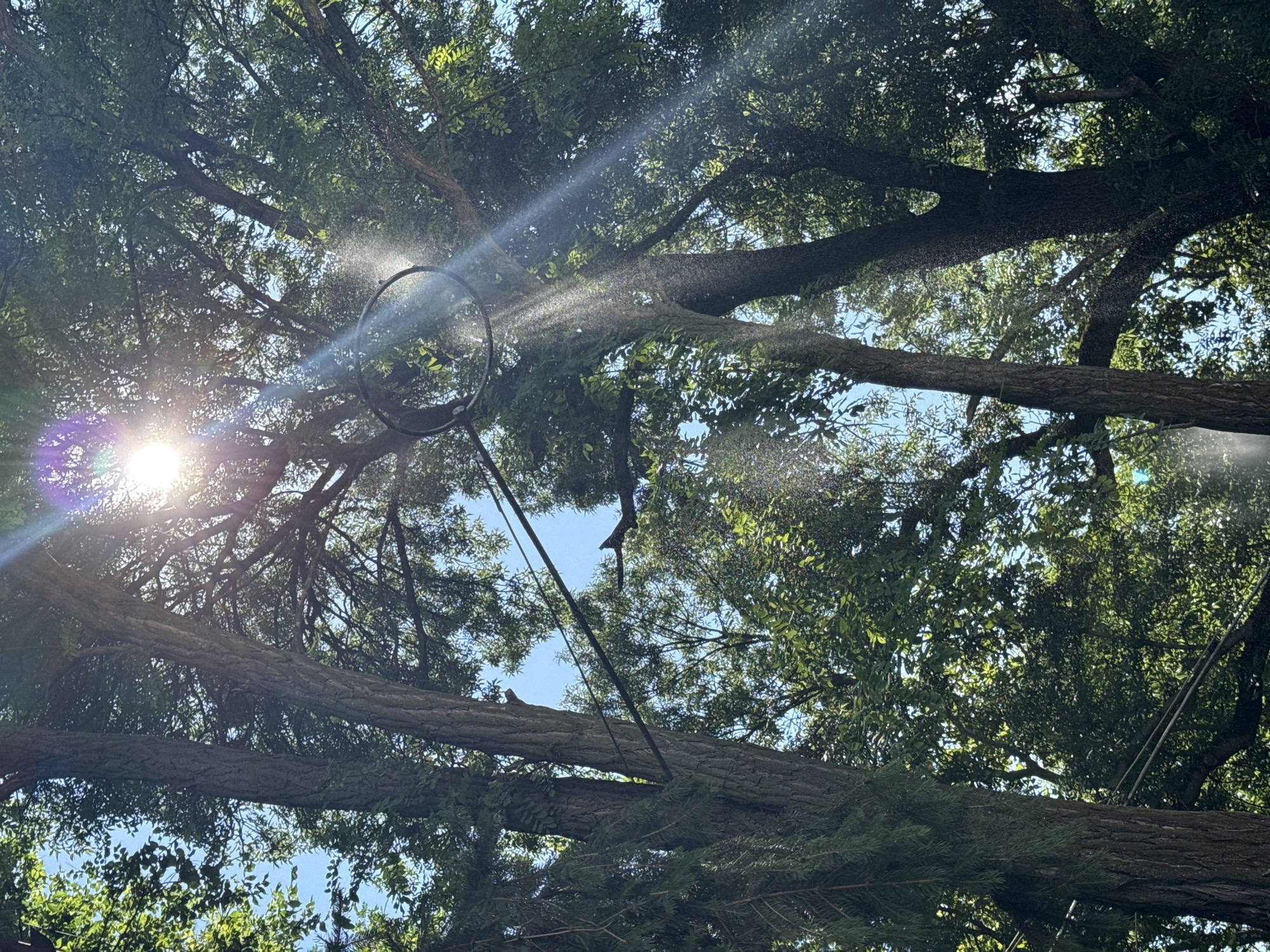 The image depicts a view looking up into a canopy of lush green trees. Sunlight streams through the leaves, creating bright lens flares and visible rays of light. A circular object, possibly a basketball hoop, is visible in the upper center of the frame, with water droplets or mist suspended in the air around it, catching the sunlight. Two thick tree trunks dominate the left and right sides of the image, with branches and foliage filling the spaces between them. A clear blue sky is visible in the background through the gaps in the leaves. Electrical wires are strung between two of the trees in the mid-ground. The scene appears to be outdoors, possibly in a park or a residential area with mature trees. There are no people or animals visible in the image. The overall impression is of a bright, sunlit day, with a hint of activity suggested by the water droplets. The location is specified as Yambol, Bulgaria.