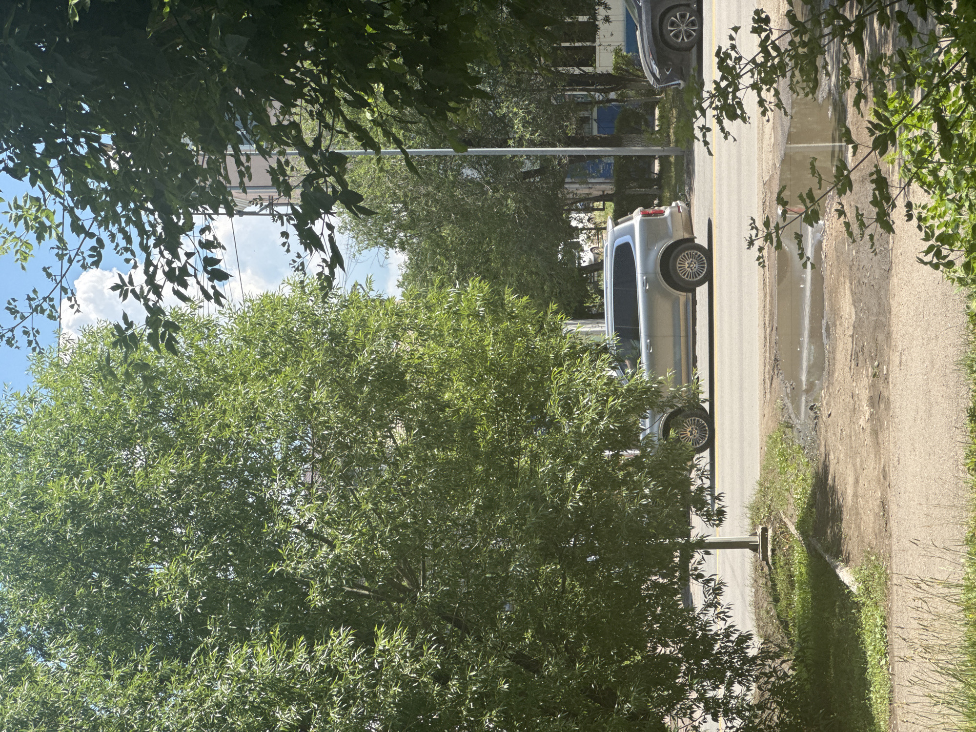 The image depicts a street scene in Kokshetau, Kazakhstan, on a sunny day. A silver SUV is parked on the right side of the road, facing left, with its rear bumper towards the viewer. Adjacent to it, a dark sedan is visible from the front left quarter panel. The road appears wet in places, with a puddle reflecting the sky and surrounding trees.
Large trees with lush green foliage dominate the foreground and midground, partially obscuring buildings and the sky. One tree, on the left, is particularly dense and leafy, with its branches extending across a significant portion of the frame. Another tree, to the right, has thinner leaves and branches, with a light pole positioned behind it. The background reveals a building with several windows and architectural details, suggesting an urban or suburban environment. The sky is blue with scattered white clouds. The overall impression is a tranquil, everyday street view under clear skies, with signs of recent rain.