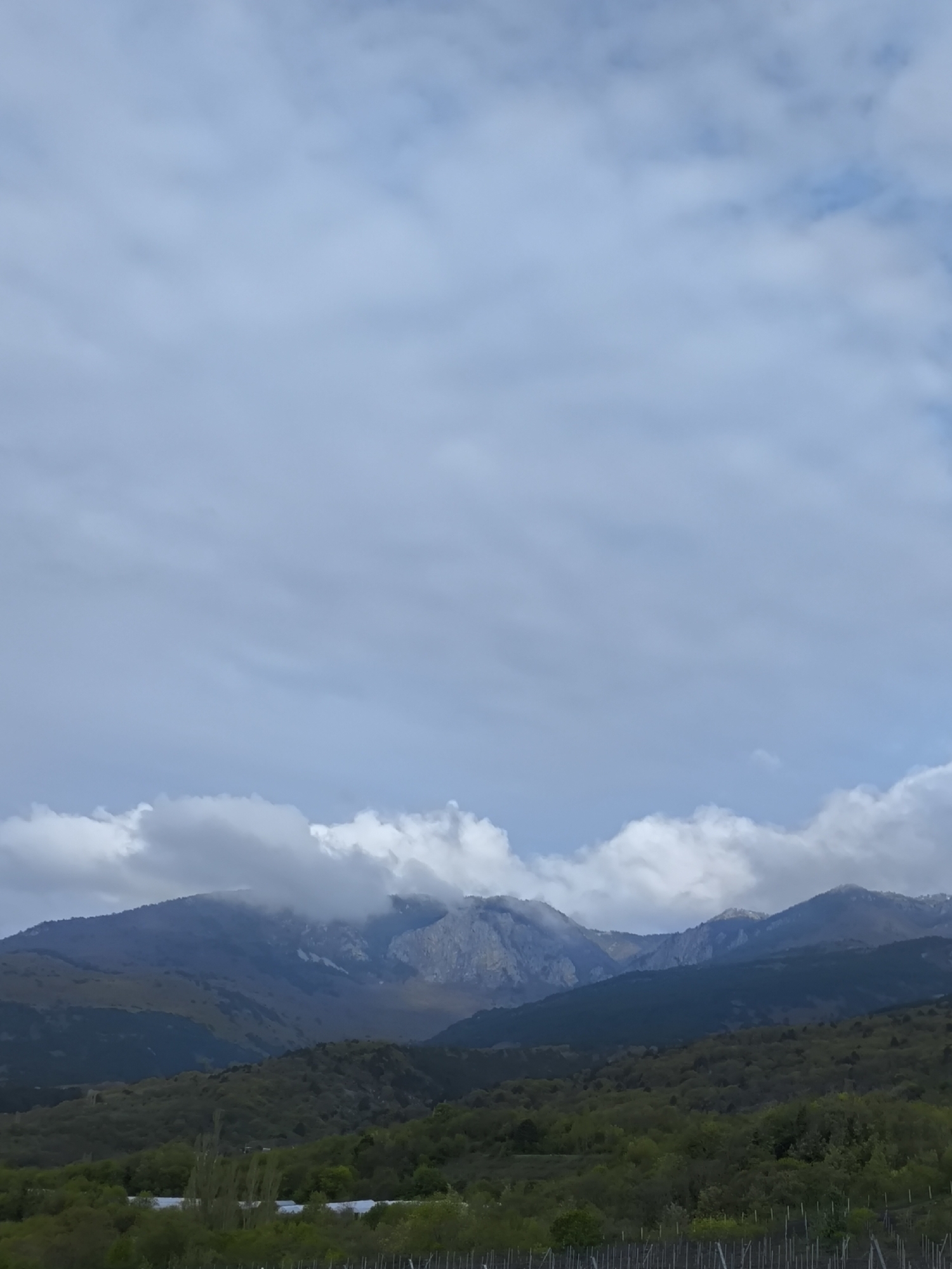 The image shows a mountainous landscape under a cloudy sky. The mountains are a mix of green and grey, with some peaks obscured by clouds. The foreground consists of green hills and what appears to be a field with rows of posts. The location is possibly in the region of Pushkino, Ukraine, given the context.