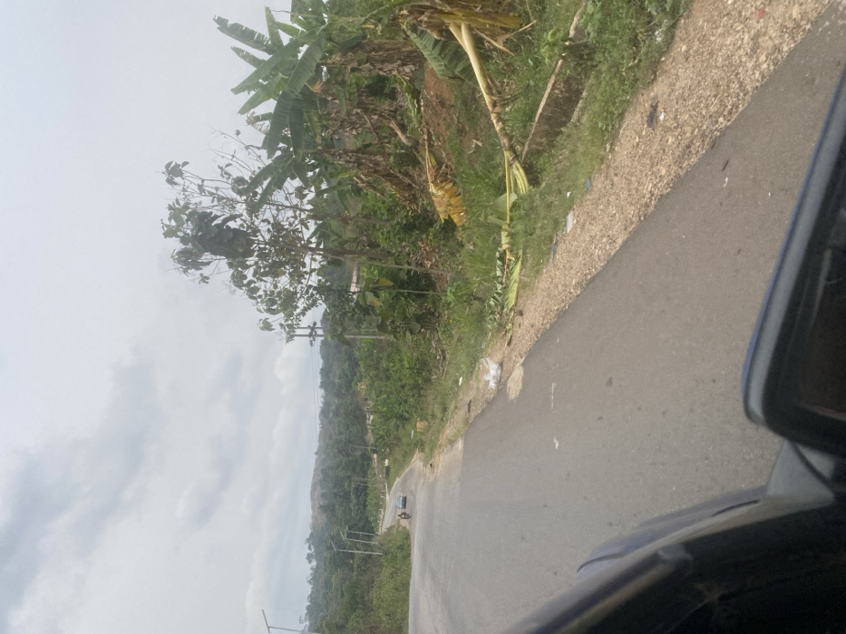 The image depicts a paved road in Oka-Akoko, Nigeria, under an overcast sky. The road, observed from within a vehicle (part of which, including a side mirror, is visible in the bottom foreground), extends into the mid-ground, where it curves left. A light-colored car and a motorcycle with a single rider are visible on the road in the mid-distance. The immediate roadside on the right features a gravel shoulder, green grass, scattered litter including plastic bags and fallen banana leaves, and a concrete drainage ditch. Beyond the shoulder, dense tropical vegetation, including multiple banana trees (some appearing partially withered or with detached leaves), and other leafy trees line the route. Further in the mid-ground, along the left side of the road, several streetlights equipped with solar panels are erected. Utility poles with power lines are visible on the right side of the road further back. The background consists of distant hills covered in dense green foliage. There are no direct human interactions observable.