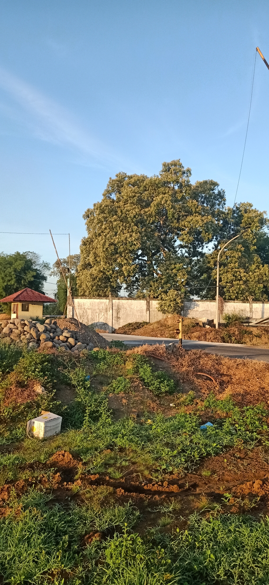 In Geulumpangsulu Timu, Indonesia, a rural roadside scene unfolds under a clear, pale blue sky. The foreground is dominated by uneven terrain covered in green grass and patches of bare, reddish-brown soil. A white rectangular object, possibly a cooler or container, rests on the grass on the left. A pile of large, smooth gray stones is situated next to a small, light-colored building with a red, gabled roof.

Behind the stones and building, a concrete wall runs horizontally across the midground. A large, leafy tree with dense foliage stands prominently behind the wall. To the right of the tree, a lamppost with a curved arm extends upwards. The road, paved with asphalt, curves into the background. The area beside the road appears to be disturbed earth with scattered dried vegetation and branches. A single yellow traffic bollard is visible on the side of the road. In the far distance, more trees are visible, suggesting a vegetated landscape. A dark wire stretches diagonally across the upper right portion of the sky, connected to a thin pole.
