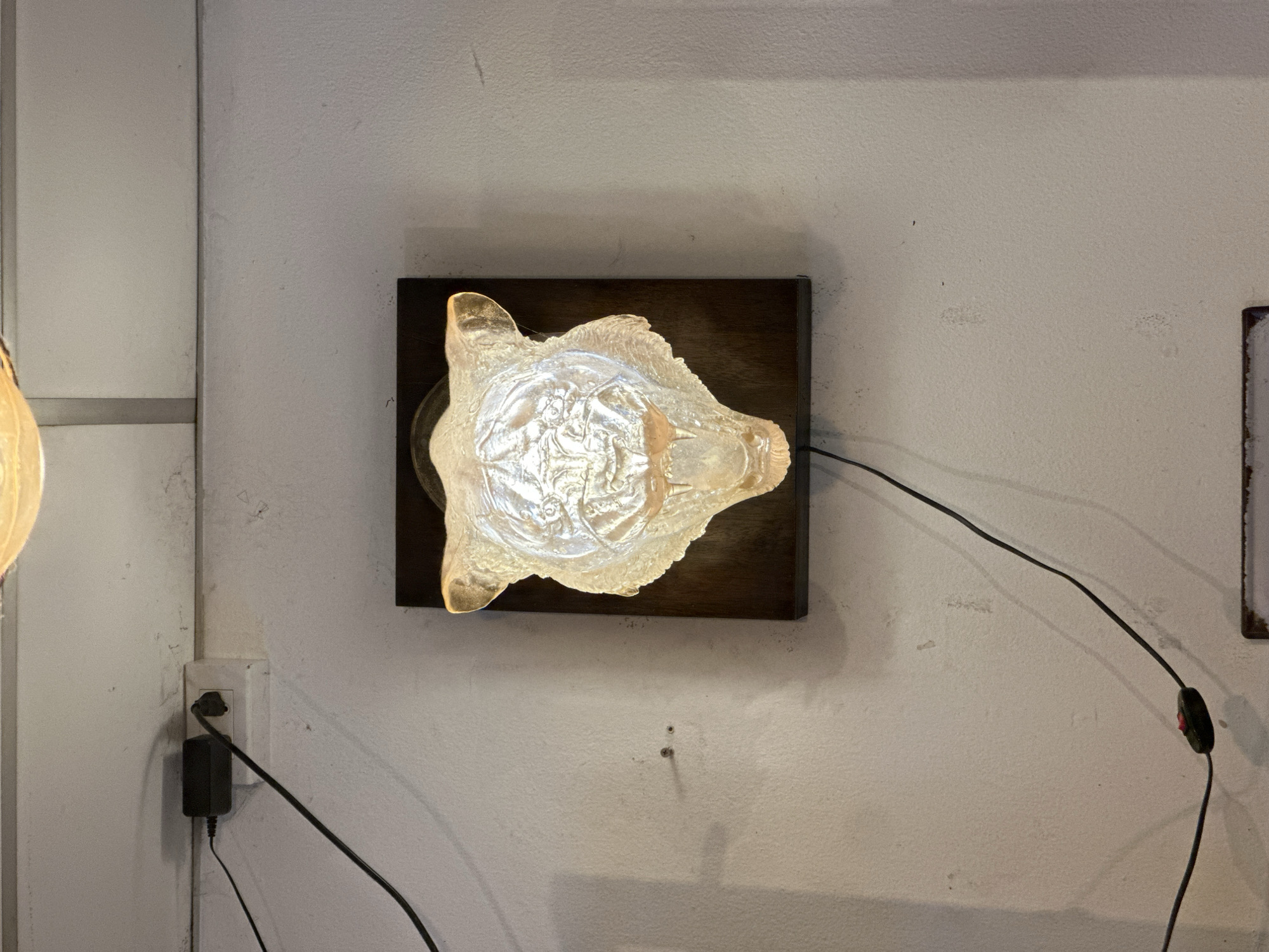 A close-up, overhead shot captures a unique wall-mounted light fixture. The fixture consists of a textured, translucent glass shade that appears to be molded into an organic, almost animalistic shape, possibly resembling a bear's head. The glass has a warm, amber glow, emanating from a light source within. This illuminated shade is mounted on a dark, rectangular wooden backing, which is affixed to a textured, off-white wall. A black power cord snakes away from the fixture, connecting to a black power adapter plugged into a white electrical outlet on the wall to the left. Another black cable extends from the fixture, ending in a small, oval inline switch with a red button. The wall itself shows some imperfections, including faint marks and what appear to be water stains or discoloration in places, suggesting the setting might be a bit aged or lived-in. The lighting is artificial, creating shadows and highlighting the textures of the wall and the glass shade. The overall scene is dimly lit, with the light fixture being the primary source of illumination in the frame. There is no visible text in the image.