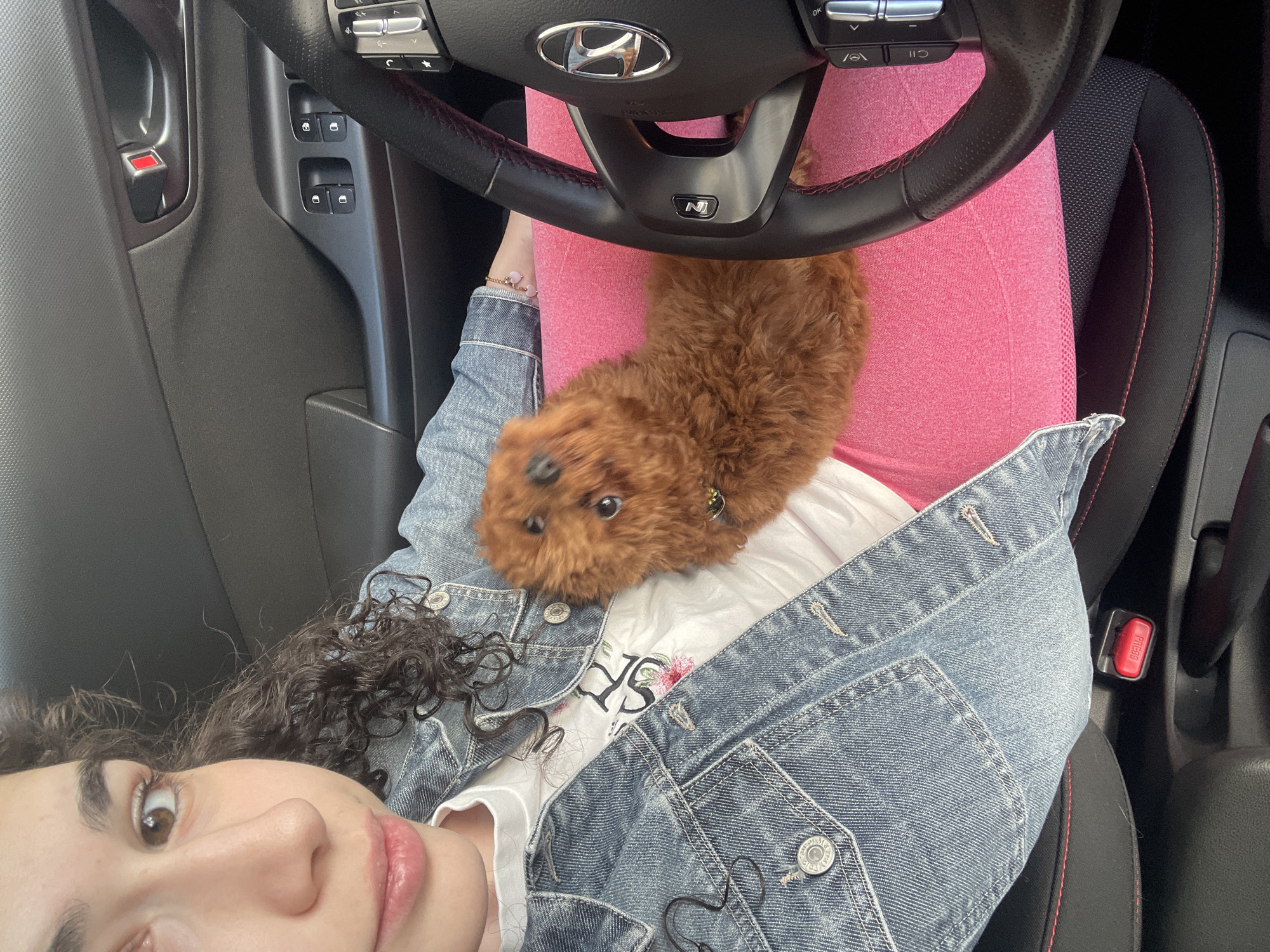 A person is in the driver's seat of a Hyundai N car. The person is wearing pink leggings and a denim jacket over a white t-shirt. A small, brown poodle is resting on the person's lap, partially obscured by the steering wheel. The car's interior is visible, including the door controls and seat. The location is indiscernible in the city of Sofia, Bulgaria.