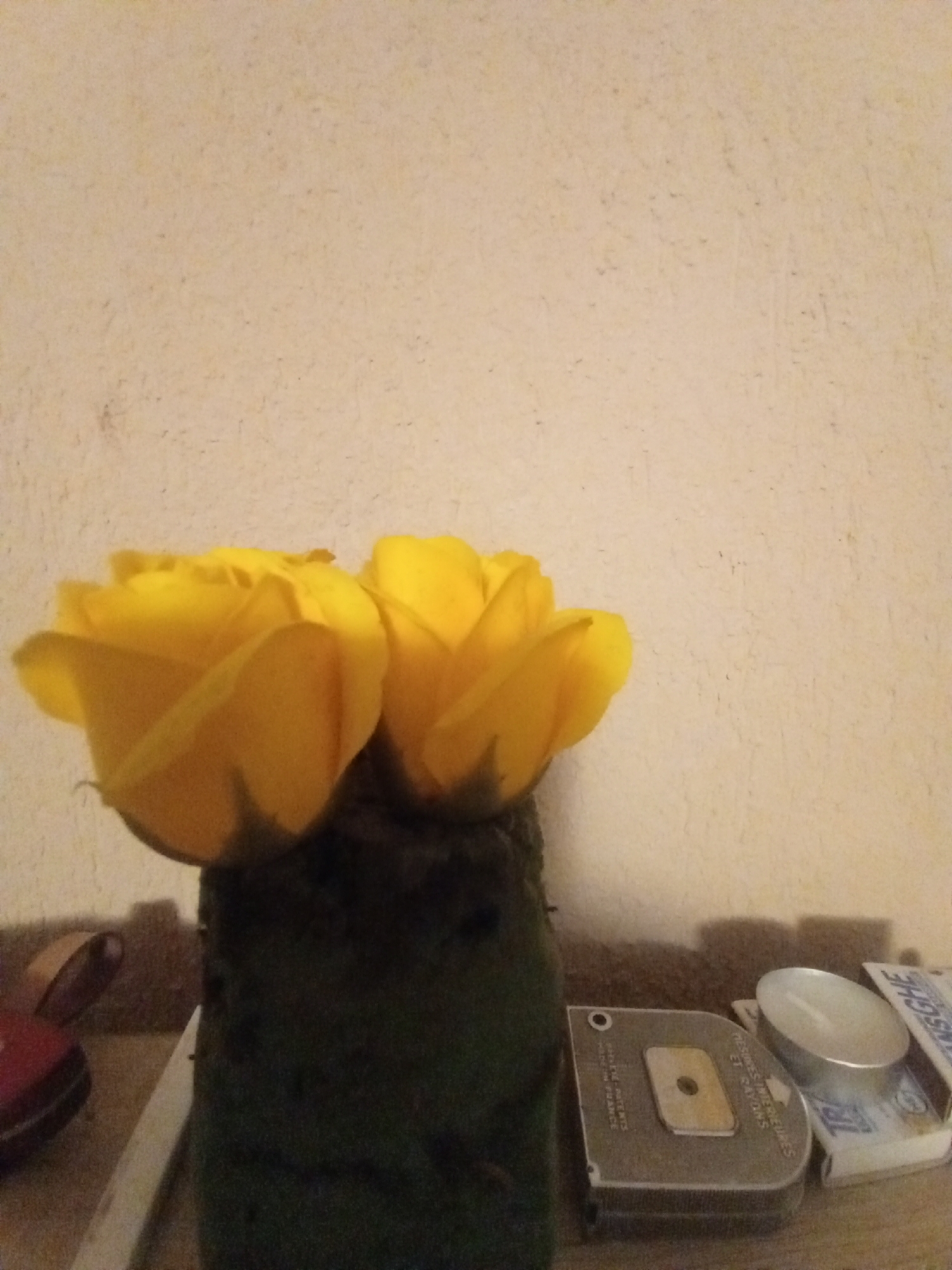 The image depicts a still life arrangement on a shelf against a textured, cream-colored wall. Two vibrant yellow roses are the focal point, positioned in a dark green, rectangular vase. To the right of the vase, on the shelf, are several objects: a metal measuring tape, a small cylindrical tealight candle in a silver holder, and a partially visible box labeled "ANSCHE" in blue letters. To the left of the vase, a red object with a curved edge and a metallic sheen is visible, along with a white rectangular object, possibly a ruler or blade. The lighting suggests an indoor setting, possibly a home environment, with a warm glow illuminating the scene and casting subtle shadows. The image does not provide any specific information about the city of Bârnova, Romania, or any individuals present.