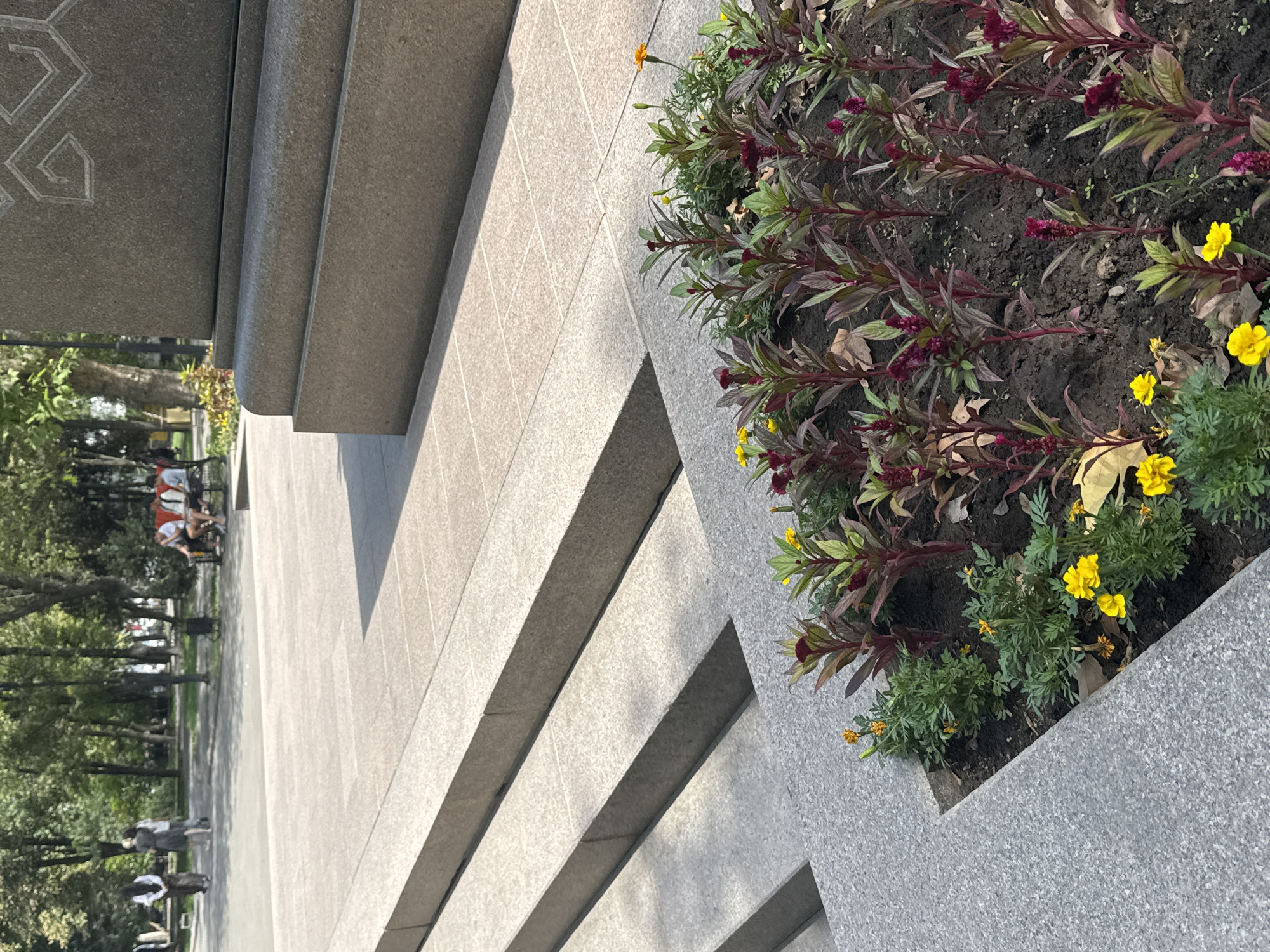The image depicts a sunny day in Bishkek, Kyrgyzstan. In the foreground, a bed of flowers with deep red and green foliage is visible, interspersed with small yellow marigolds. Behind the flowerbed, granite stairs lead up to a large stone structure, possibly a monument or building base. In the background, several people are present in a park-like setting. Some individuals are walking on a paved pathway, while others are seated on a bench. The environment is characterized by trees and urban infrastructure.