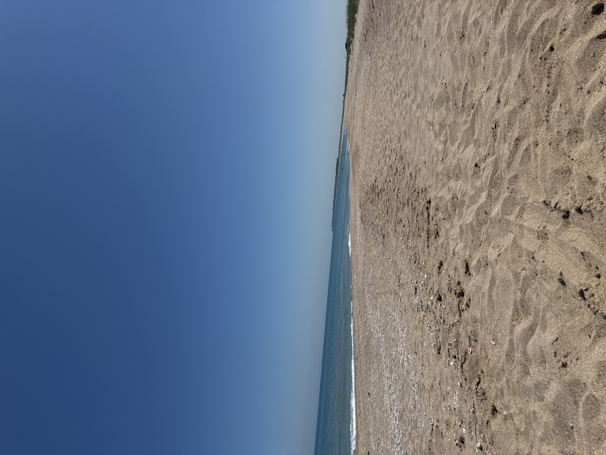 A wide, sandy beach stretches diagonally across the frame, meeting a clear blue sea on the left. The sand is a light brown, textured with ripples and small indentations, suggesting it has been recently walked on or shaped by the wind. Scattered amongst the sand are small white shells and pebbles. The sea is calm, with a thin white line of gentle waves lapping at the shore. In the distance, the sea and sky meet in a soft, hazy line, indicating a clear, bright day. The sky itself is a deep, unblemished blue, taking up the left half of the image. Further down the beach, a thin strip of green vegetation can be seen bordering the sand, and a few distant figures are barely visible near the water's edge. The overall impression is one of a serene, sunny day at the beach, with the vast expanse of the sky and sea creating a sense of peace and openness. The image appears to be taken in the morning or afternoon, given the bright, even lighting. There is no visible text.