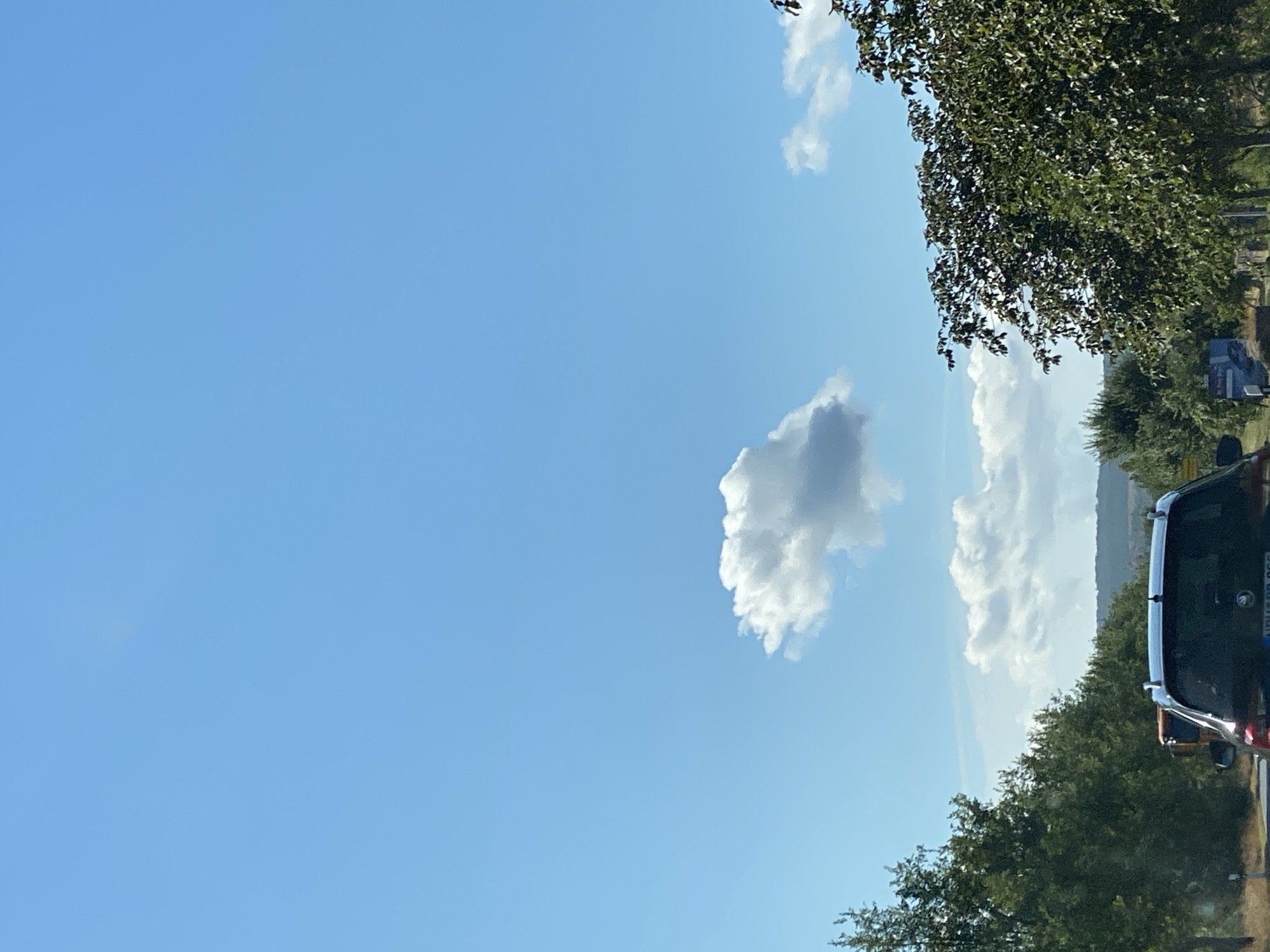 The image captures a clear blue sky with scattered white clouds. A single, large cumulus cloud is prominently positioned in the upper center of the frame. The lower portion of the image shows a road with trees lining both sides. On the right, a dense canopy of dark green leaves from a deciduous tree dominates the foreground. On the left, a line of green trees extends into the distance. A dark-colored car is partially visible in the lower center, facing away from the camera, with its rear windshield and roof rack apparent. The scene appears to be a roadside view, likely outside of urban areas given the prevalence of trees and open sky. While the image does not explicitly show details of Nordhausen, Germany, the sky, cloud formations, and roadside vegetation are consistent with a summer day in a region like Northern Germany.