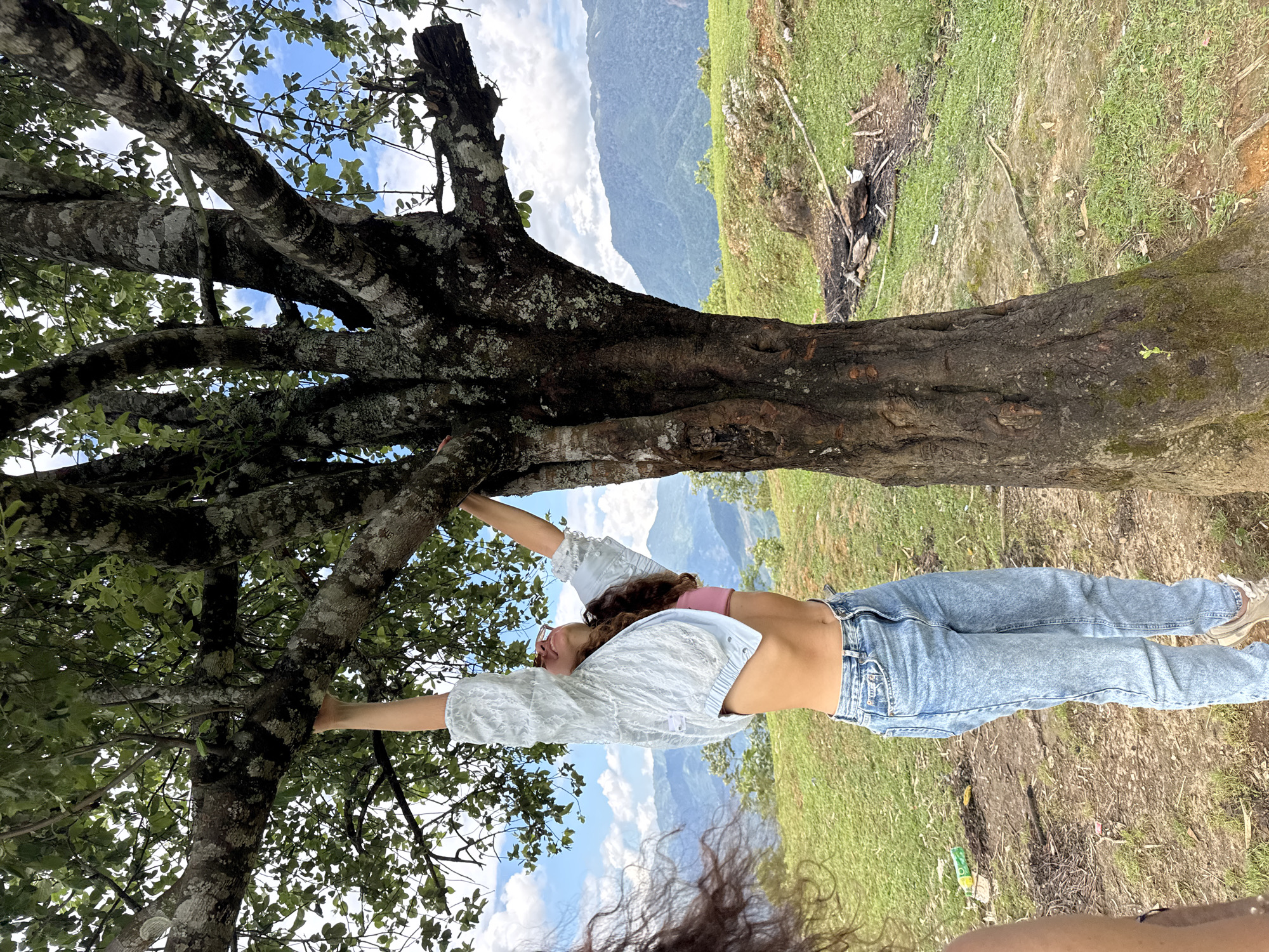 The image captures an outdoor scene in Tú Lệ, Vietnam, featuring a young individual interacting with a large tree.
**Central Figure:** A young person, appearing female, is positioned centrally, facing slightly right and upwards. She is stretching or reaching, with both arms extended overhead, grasping a thick, moss-covered tree branch. Her head is tilted back, looking upwards. She wears a light-colored, possibly white or light blue, long-sleeved, open, textured jacket or shrug over a pink bandeau top or sports bra, exposing her midriff. Her lower body is clad in light blue, acid-wash denim jeans, and her right foot, wearing a light-colored sneaker, is partially visible on the ground. She has long, dark, curly hair. The partial view of dark, curly hair on the extreme left suggests the presence of another individual outside the main frame.
**Tree:** A mature tree dominates the foreground and midground. It possesses a thick, dark brown trunk and large, robust branches, all covered in textured bark with visible patches of grey-white lichen or moss. The tree's canopy is dense with green leaves, primarily obscuring the sky directly above the figure.
**Environment and Landscape:** The ground is a mix of green grass and bare soil. To the left of the central figure, a discarded green plastic bottle lies on the dirt. Towards the right mid-ground, a cleared area on the ground shows evidence of a past fire, with charred wood and ashes. In the background, a range of hazy blue-green mountains extends across the horizon under a sky that features patches of clear blue mixed with scattered white clouds. The overall setting is rural and mountainous.