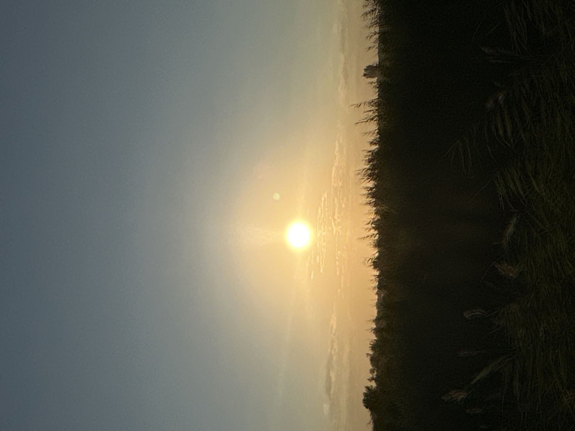 A serene sunset is depicted over a field of tall grass and trees. The sun, a bright, glowing orb, is positioned in the center of the frame, casting a warm, golden light across the sky. A small, faint moon is also visible to the left of the sun. The sky is a gradient of soft blue at the top, transitioning to a pale yellow and orange near the horizon. Below the sky, a dark silhouette of trees and vegetation stretches across the image, obscuring the ground. The overall atmosphere is peaceful and tranquil, evoking a sense of natural beauty. The image does not contain any people or specific landmarks that would indicate a precise location within Batash, Uzbekistan.