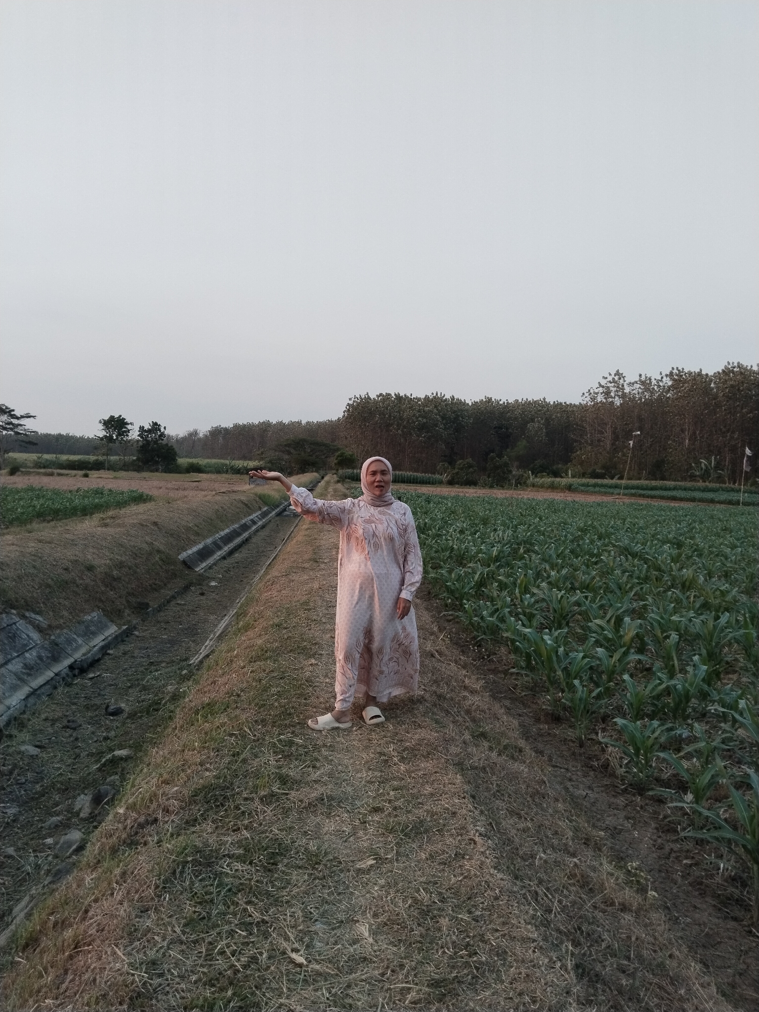 A woman wearing a light-colored hijab and a long patterned dress stands in a rural field in Jembayat, Indonesia. She is positioned on a dirt path between a dry irrigation ditch and a lush field of crops, likely corn, which stretches to the right. Her left arm is extended forward with her palm facing upwards, as if offering something or making a gesture. The sky above is overcast and pale. In the background, a line of trees forms a dense border, with more sparse vegetation and agricultural land visible beyond the immediate fields. The scene appears to be set during dusk or early morning due to the soft, diffused light.