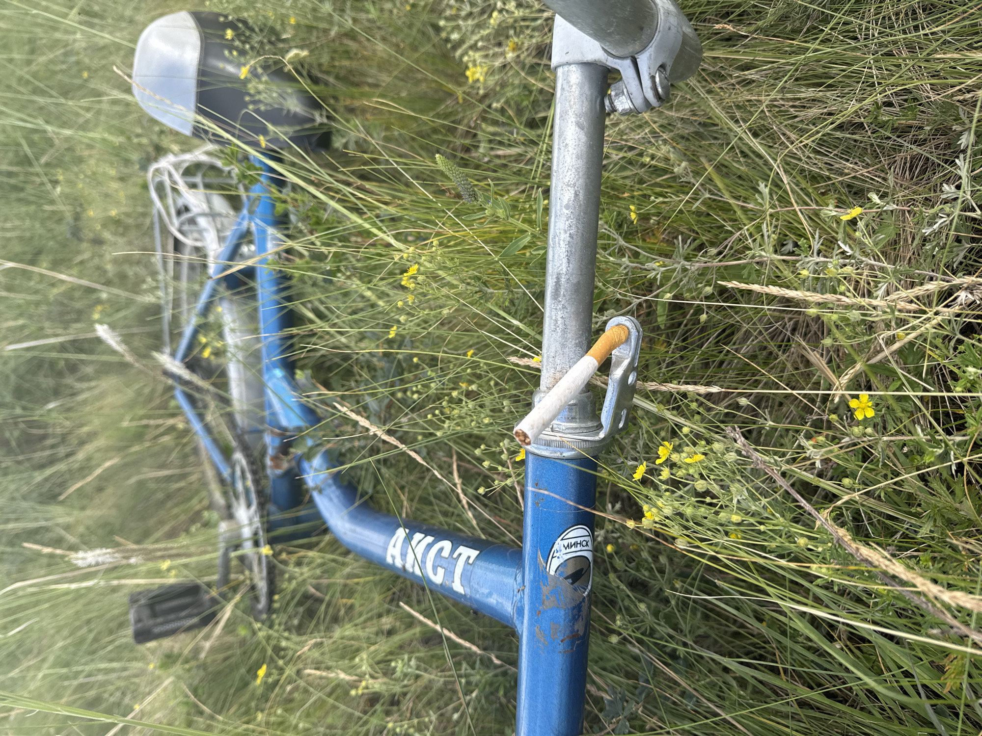 A blue bicycle lies on its side in tall grass with yellow wildflowers. A lit cigarette rests on the handlebar stem, near a sticker that appears to have Cyrillic text. The bicycle's frame is blue, and it has silver handlebars and pedals. The scene is outdoors, with the bicycle partially obscured by the dense vegetation. The location is specified as Aumyshevo, Russia.
