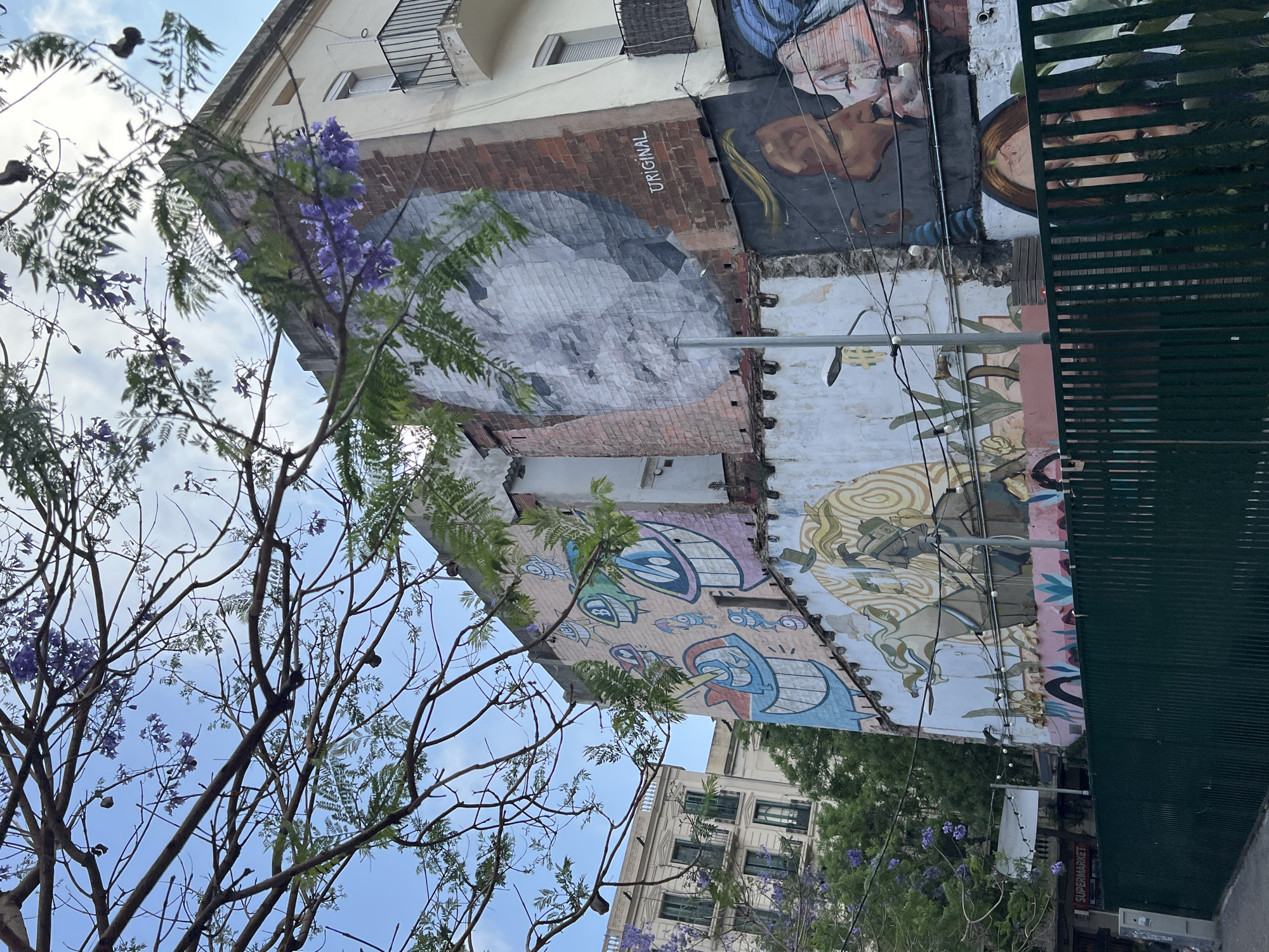 The image captures a vibrant street scene, primarily focusing on a multi-story building adorned with extensive mural art. The perspective is looking upwards, with branches of a tree in the foreground framing the scene.
The main subject is a building featuring multiple sections of street art. One prominent mural, painted on a brick section, depicts a large, grayscale face, possibly of an older man, rendered in a mosaic-like style. Above this face, the word "ORIGINAL" is written vertically in white text. Another section of the mural features a portion of a human face with prominent eyes, possibly framed by a gold or bronze element. Further down, there's a section with colorful, cartoonish figures, including a smiling character with large teeth and bright blue and pink accents. An adjacent part of the mural shows a more stylized figure, possibly in a hat or helmet, surrounded by swirling, abstract patterns. The building itself appears to have some balconies and windows, with exposed brick and painted surfaces.
In the foreground, a tree with delicate branches and green leaves is visible. Clusters of purple flowers, characteristic of Jacaranda trees, are scattered among the branches, adding a pop of color against the blue, partly cloudy sky.
On the right side of the image, a tall, dark green metal fence or grate stands vertically. Electrical wires and poles are also visible, running across the scene. In the distance, another building with a classic architectural style and green-framed windows can be seen. Faintly visible in the background, the word "SUPERMARKET" can be spotted on a sign.
The scene depicts daytime, under a bright sky with scattered clouds. The combination of old architecture, colorful contemporary street art, and blooming Jacaranda trees suggests a lively urban environment, consistent with a setting like Barcelona, Spain.