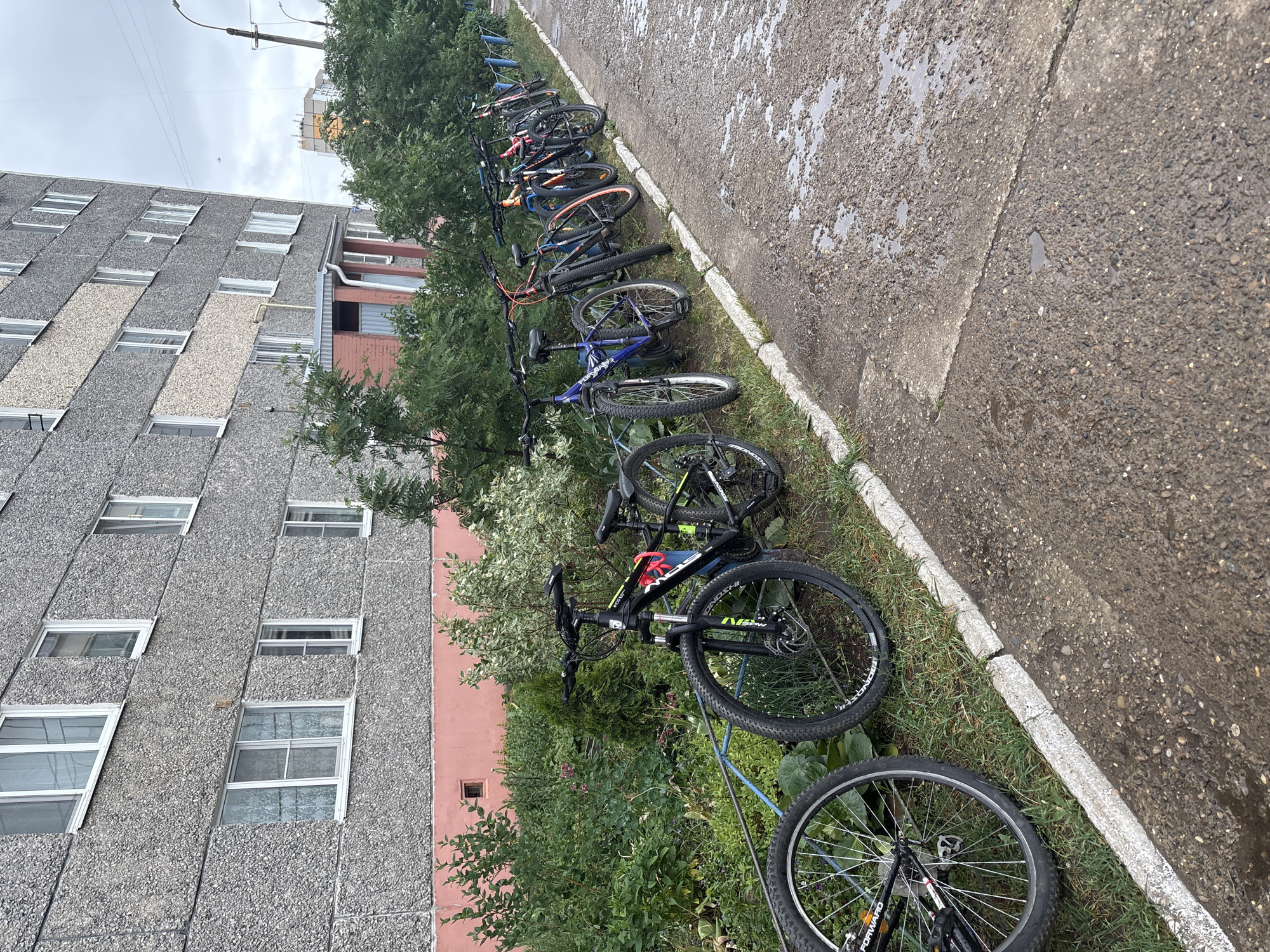 The image depicts a row of bicycles parked along a sidewalk in what appears to be a residential area in Chaikovsky, Russia. The bicycles are diverse in color and style, suggesting personal ownership. They are secured to a blue metal rack, which is positioned on a strip of grass between the sidewalk and a building. The sidewalk is made of asphalt and appears wet, indicating recent rain. The building is a high-rise structure with a gray, textured facade and rows of windows. Some vegetation is visible, indicating the presence of greenery in the area. The overall scene suggests a typical urban environment with provisions for bicycle parking.