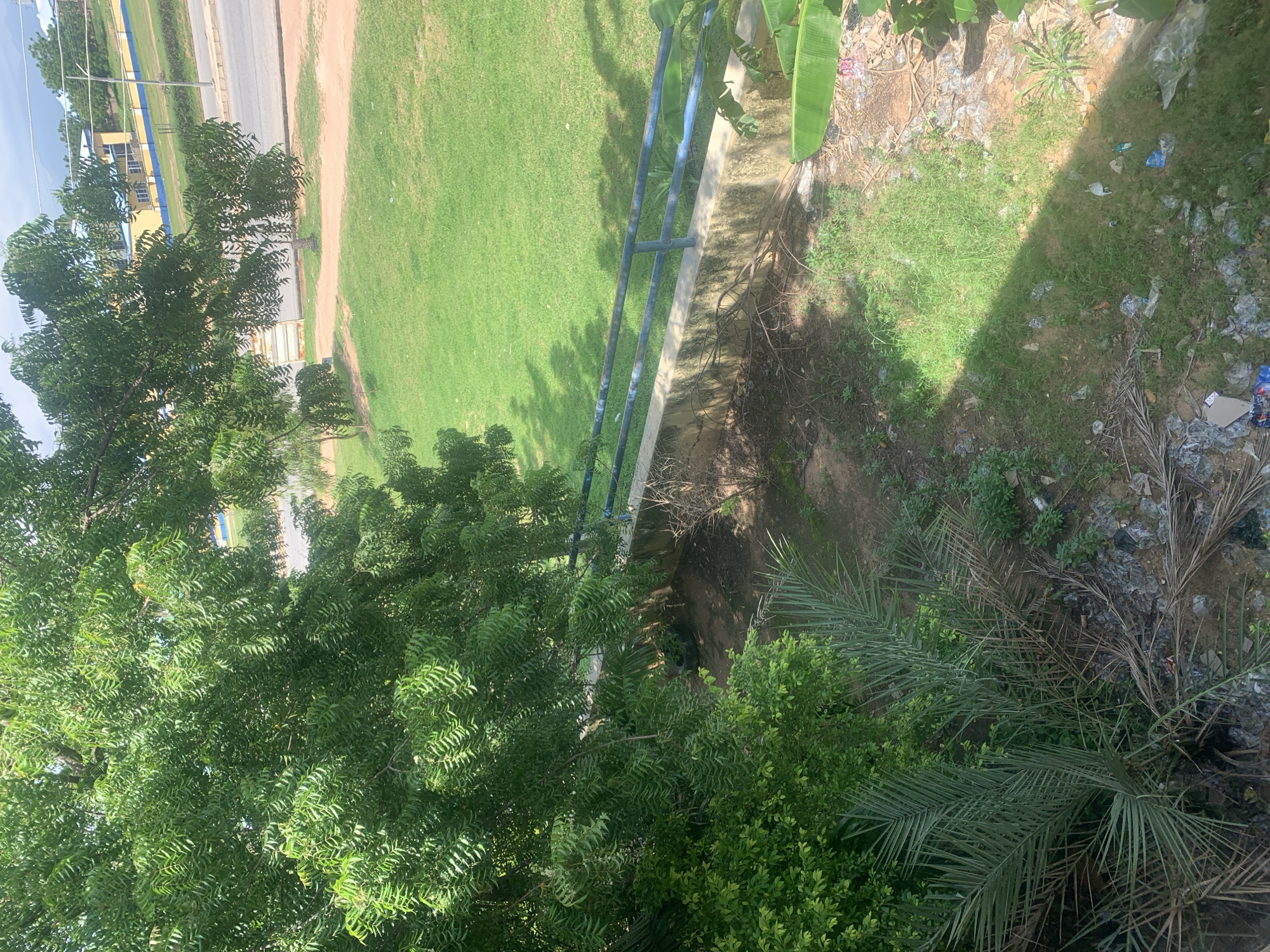 This media file, captured in Jalingo, Nigeria, provides an overhead view of an outdoor scene dominated by lush greenery and signs of human activity. In the foreground, dense foliage from several trees, including what appears to be a neem tree with its characteristic compound leaves, fills a significant portion of the frame. To the right, a palm tree with long, slender fronds adds to the tropical feel.
Beyond the vegetation, a well-maintained grassy area suggests a park or public space. A concrete walkway or edge runs through the scene, bordered by a simple blue metal railing, indicating a pathway or boundary. Further into the background, a paved road is visible, with hints of buildings and utility poles, suggesting an urban or semi-urban environment.
The ground in certain areas, particularly near the edge of the walkway and to the right of the frame, shows evidence of litter, including plastic bags and debris, juxtaposed with patches of green grass and sparse vegetation. This detail hints at areas that may be less frequented or maintained.
The lighting suggests it is daytime, with shadows cast across the grass, indicating the sun is at an angle. The overall impression is one of a partially natural, partially developed outdoor environment. There is no visible text in the image. No people or specific activities are depicted; the focus is on the landscape and environmental elements.