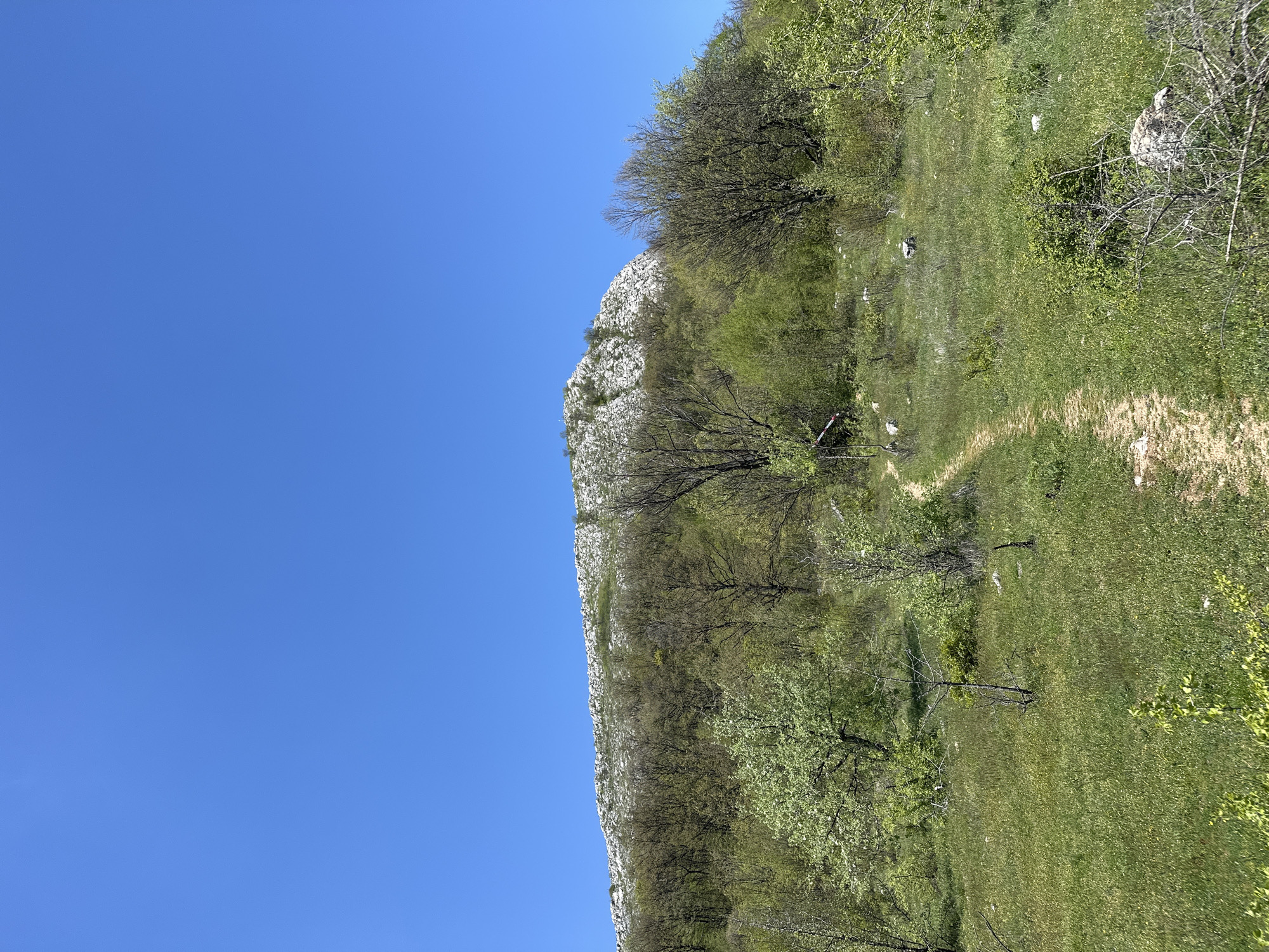A view of a mountain in Bilka, Bulgaria. The left side of the image shows a bright blue sky. The right side shows a mountain partially covered in green trees and vegetation. A thin dirt path winds through the vegetation on the right side. The top of the mountain, closer to the left side of the image, is white and rocky.