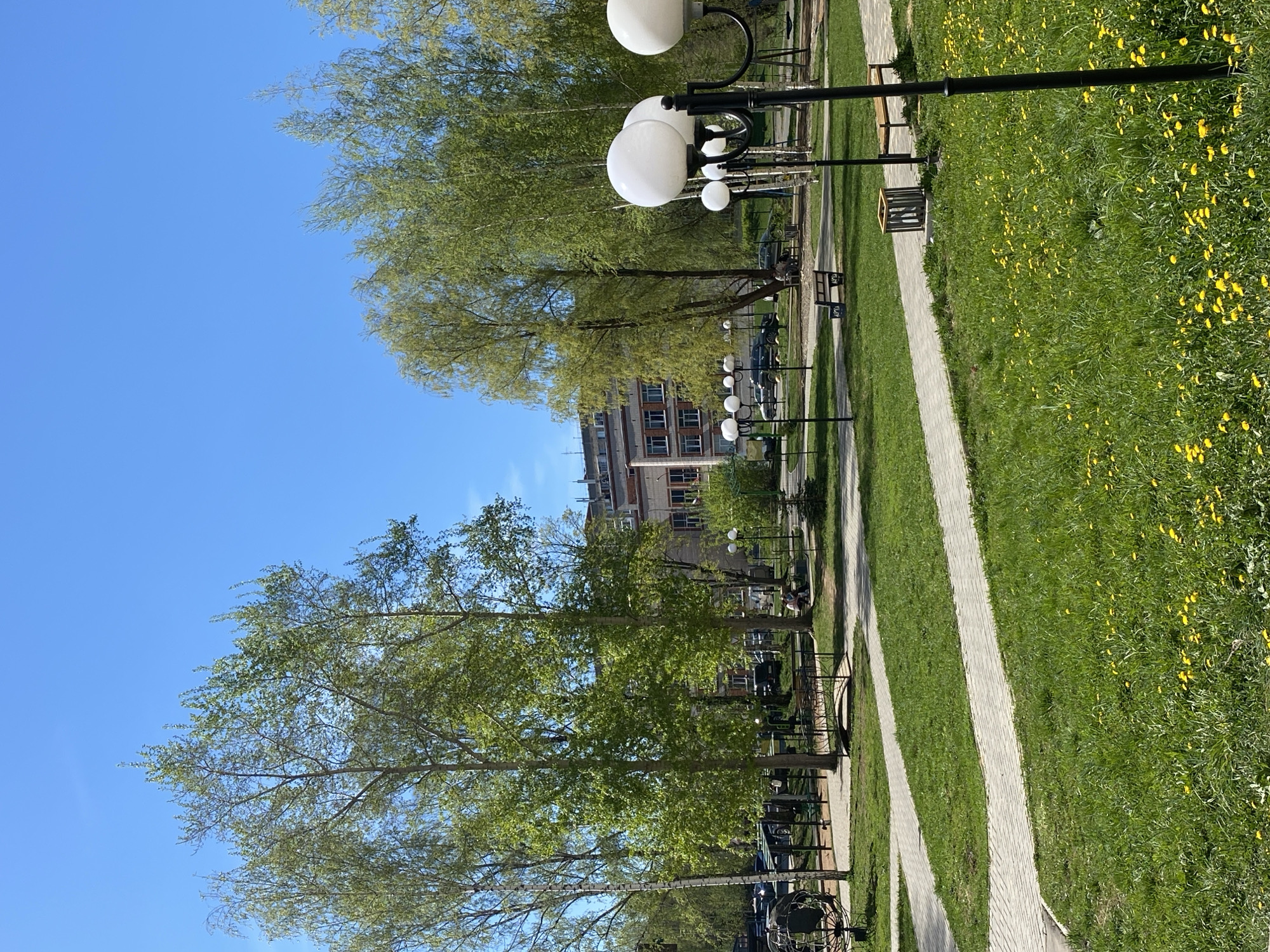 The image shows a park in Izhevsk, Russia on a sunny day. A paved walkway runs parallel to a grassy area dotted with yellow flowers. Black lampposts with round, white shades line the walkway. Beyond the trees, a multi-story building is visible. There are also benches for people to sit. No people are clearly visible.