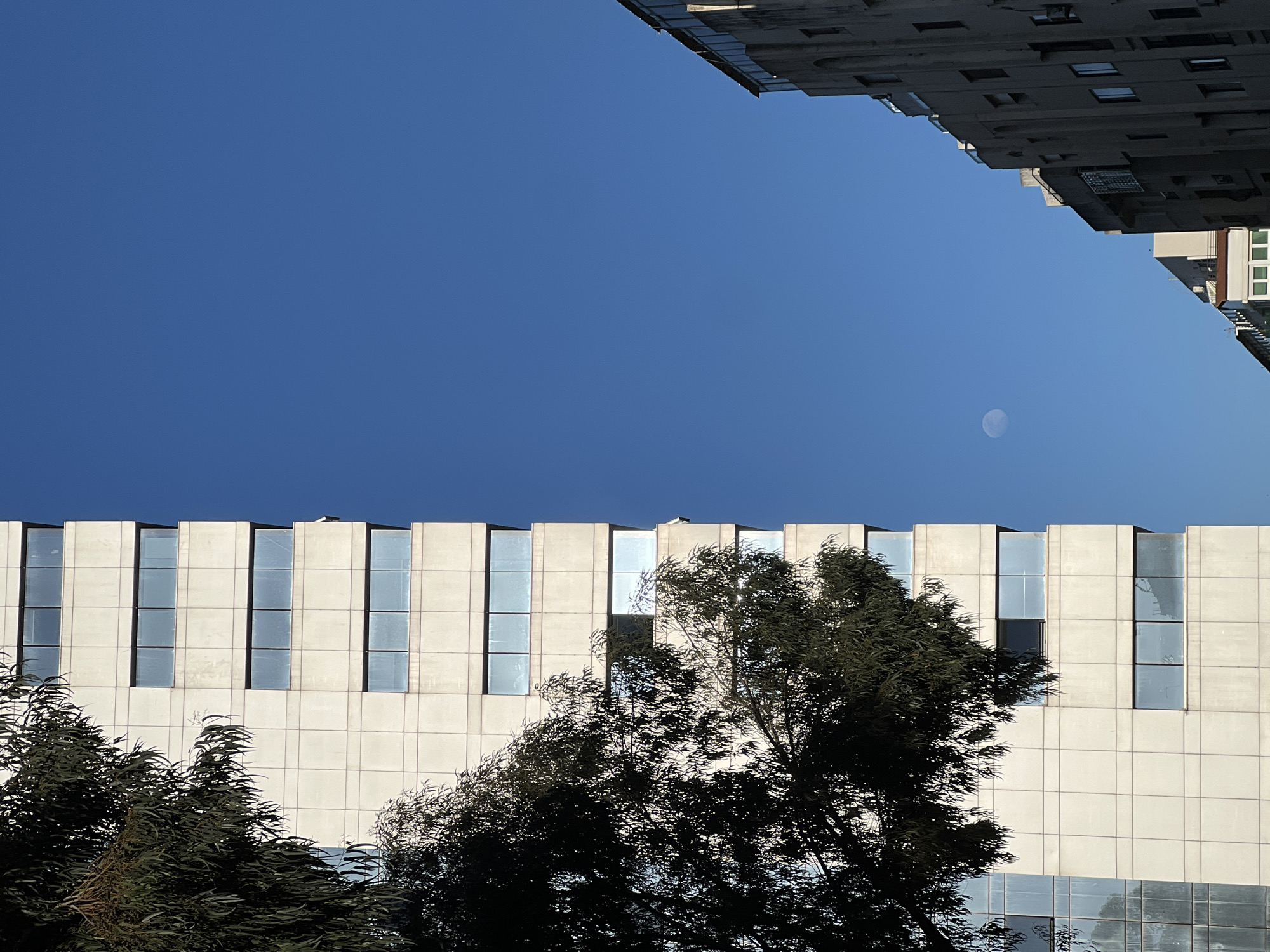 A low-angle daytime shot depicts a clear blue sky framed by two buildings. The top right corner shows a gray, multi-story building with numerous rectangular windows. Below the sky is the top half of a light gray building with vertical, rectangular windows. In front of this building are dark green trees, partly obscuring the structure. A faint, pale circle, likely the moon, is visible in the upper-center of the sky. The buildings suggest an urban setting. While the prompt mentions Tanger طنجة, Morocco, there is no independent information in the image to confirm or deny this location.