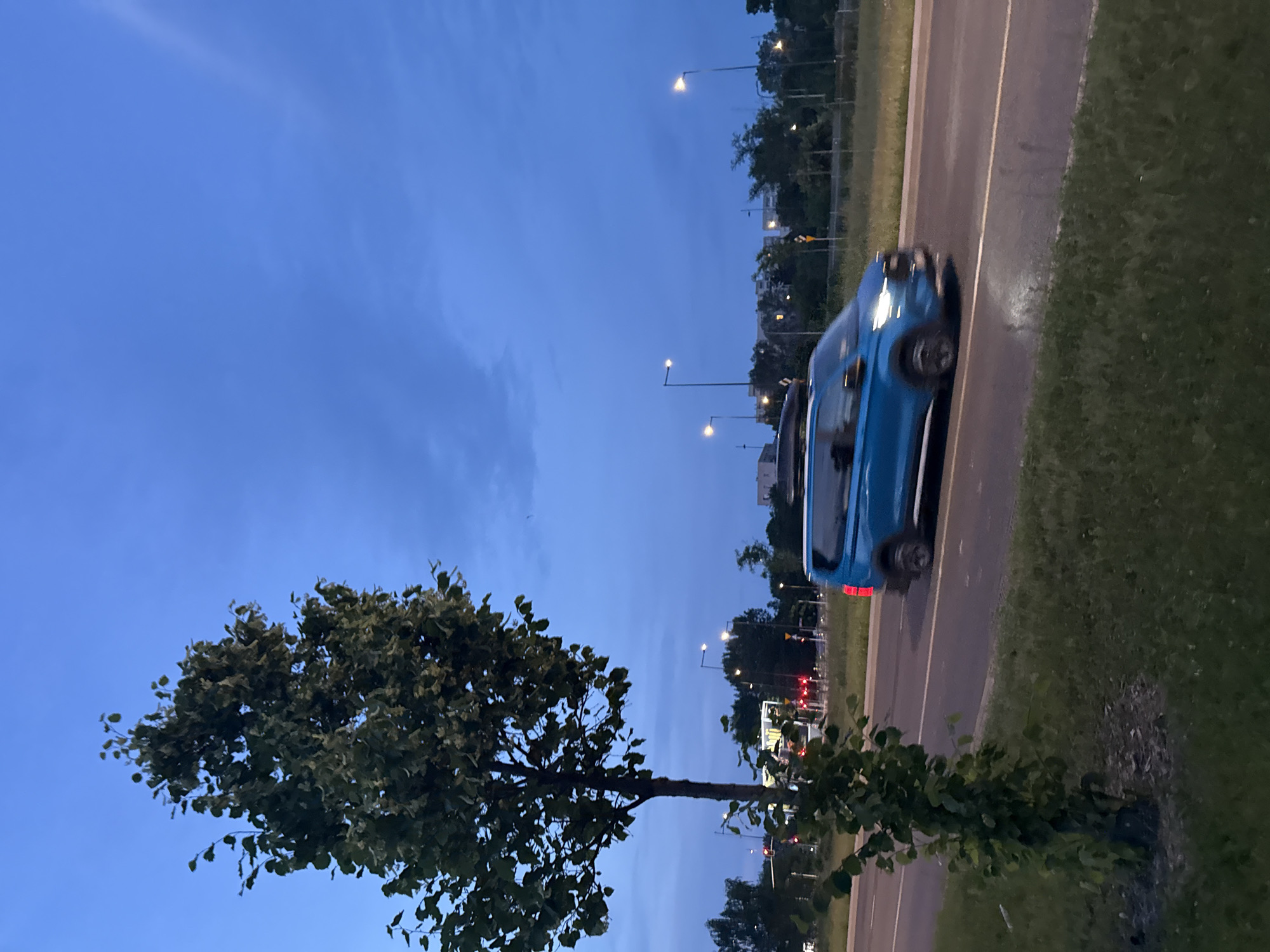 The image depicts a roadside scene at dusk. A single, mature tree with lush green foliage stands prominently in the left foreground, its trunk dark and textured. To the right of the tree, a blue van is captured in motion on a paved road. The van has a roof rack and its headlights are illuminated. The road has visible lane markings and a grassy median separating it from the opposite side, where streetlights and buildings are faintly visible. The sky is a deep, dusky blue with subtle cloud formations. Traffic lights, some displaying red, are visible in the distance. The ground surrounding the tree is covered in green grass and mulch around the base of the trunk. The overall impression is a quiet, early evening urban or suburban setting.