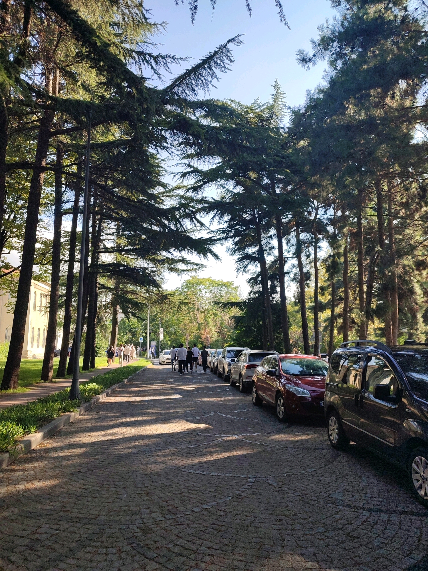 The image depicts a tree-lined street in Gungoren, Turkey, with a row of parked cars on the right side of the cobblestone road. Tall evergreen trees cast shadows on the ground. Several people are walking along the sidewalk on the left side of the street, near a building with arched windows. The sky is clear and blue.