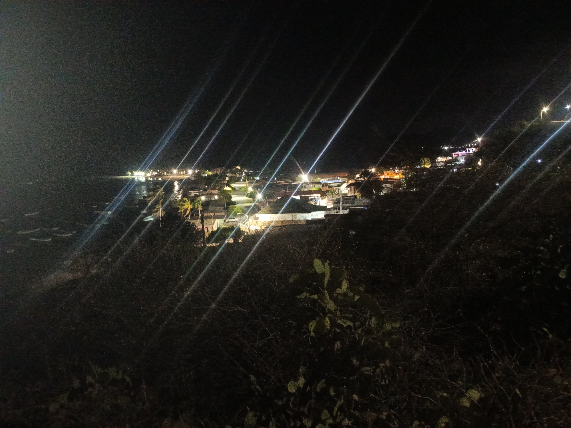 The image shows a nighttime view of Juan Griego, Venezuela, from an elevated perspective. The town is illuminated by streetlights and building lights, which create bright streaks in the image. The foreground is filled with dark vegetation. The ocean is visible on the left side of the frame.