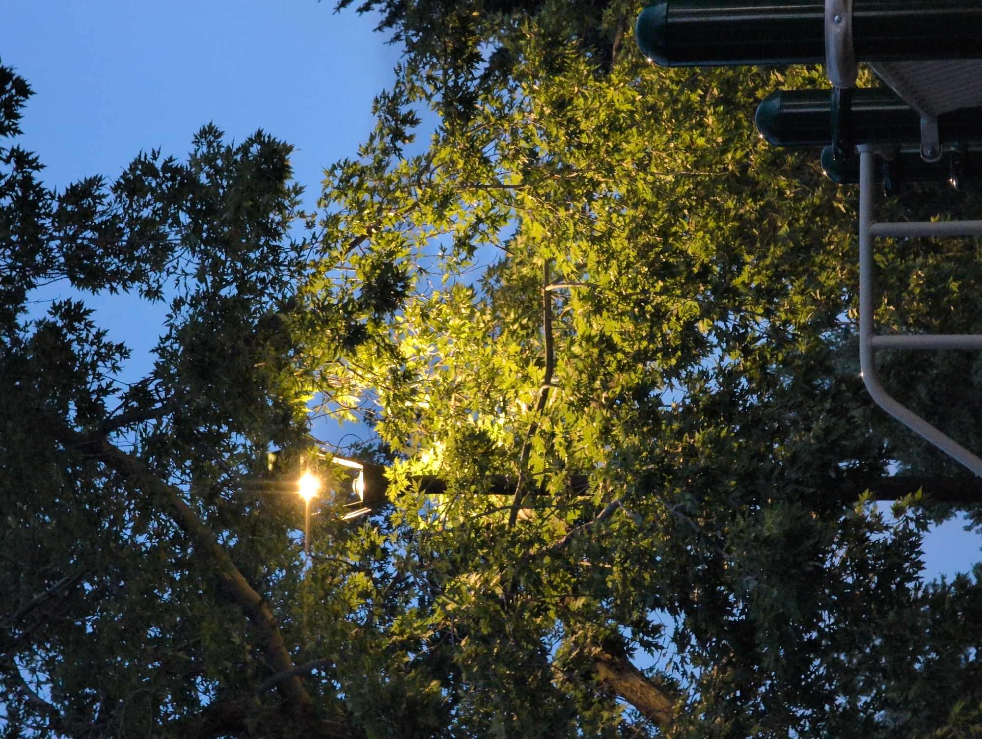 The image shows a street lamp illuminating a tree at dusk. The sky is a deep blue, indicating it is either early evening or late evening. The street lamp has a traditional design with a pointed top and is mounted on a pole. The leaves of the tree are a vibrant green, catching the light from the lamp. In the foreground, there are parts of a playground structure, including dark green poles and a metal railing. The scene appears to be in a public park or recreational area. There are no people visible in the image. The image does not contain enough information to determine the specific location within Louisville, United States of America.