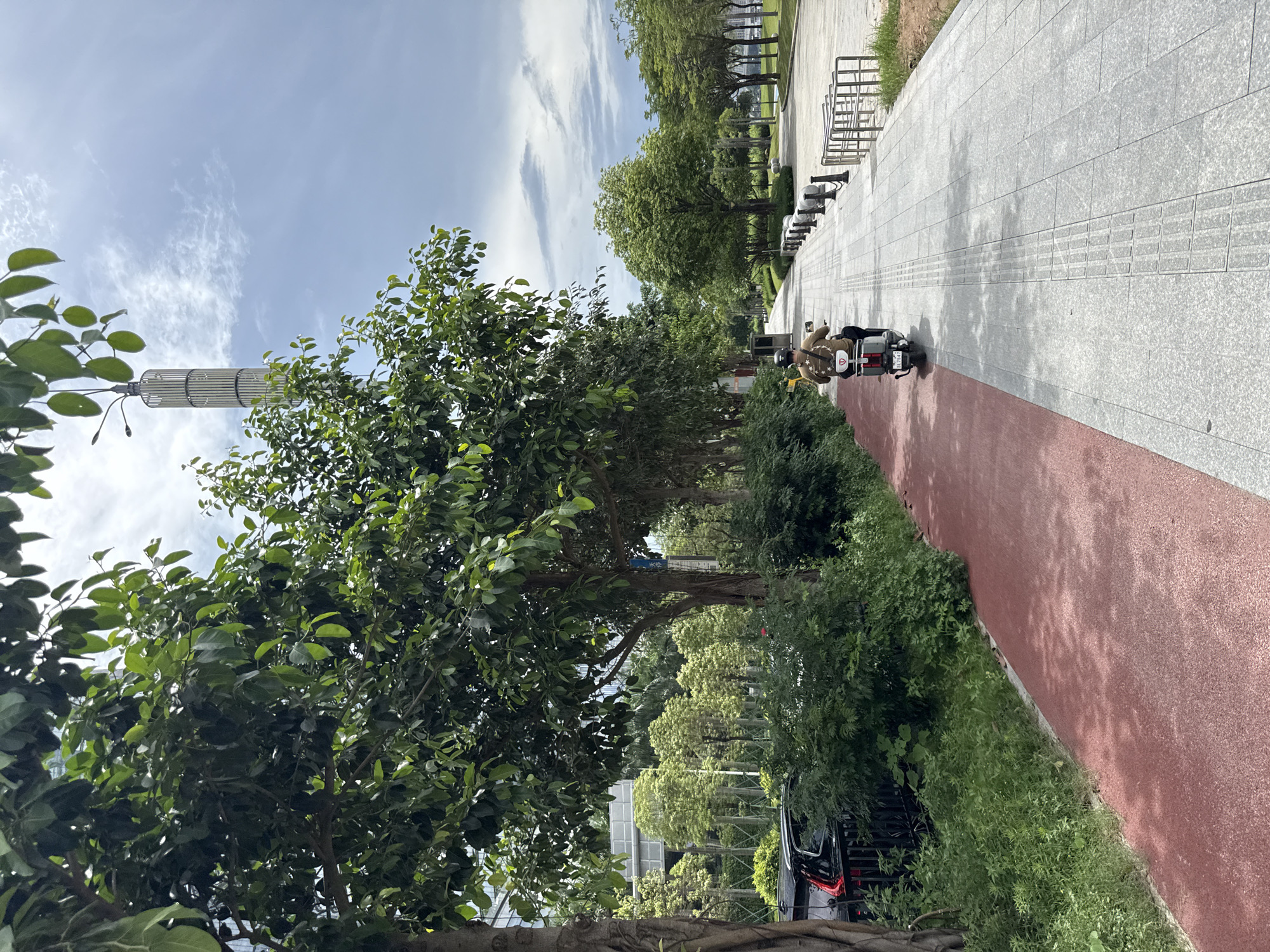 In Haizhu District, China, a person rides a scooter on a paved pedestrian walkway adjacent to a red-colored bicycle lane. The walkway is lined with trees and decorative bollards. In the background, a tall, cylindrical tower with a patterned surface stands against a partly cloudy sky. The scene depicts a well-maintained urban environment with a focus on pedestrian and cyclist infrastructure.