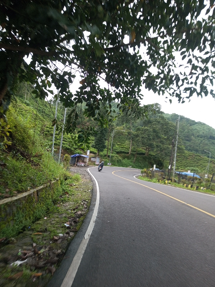 A winding asphalt road with a yellow dividing line curves through a lush, green landscape. A motorcyclist navigates the bend, passing a small roadside stall with a blue tarp roof. The scene is framed by a canopy of dense foliage in the foreground, while a verdant, terraced hill rises in the background, dotted with utility poles. A low stone wall runs along the road's edge, covered in moss and vegetation.