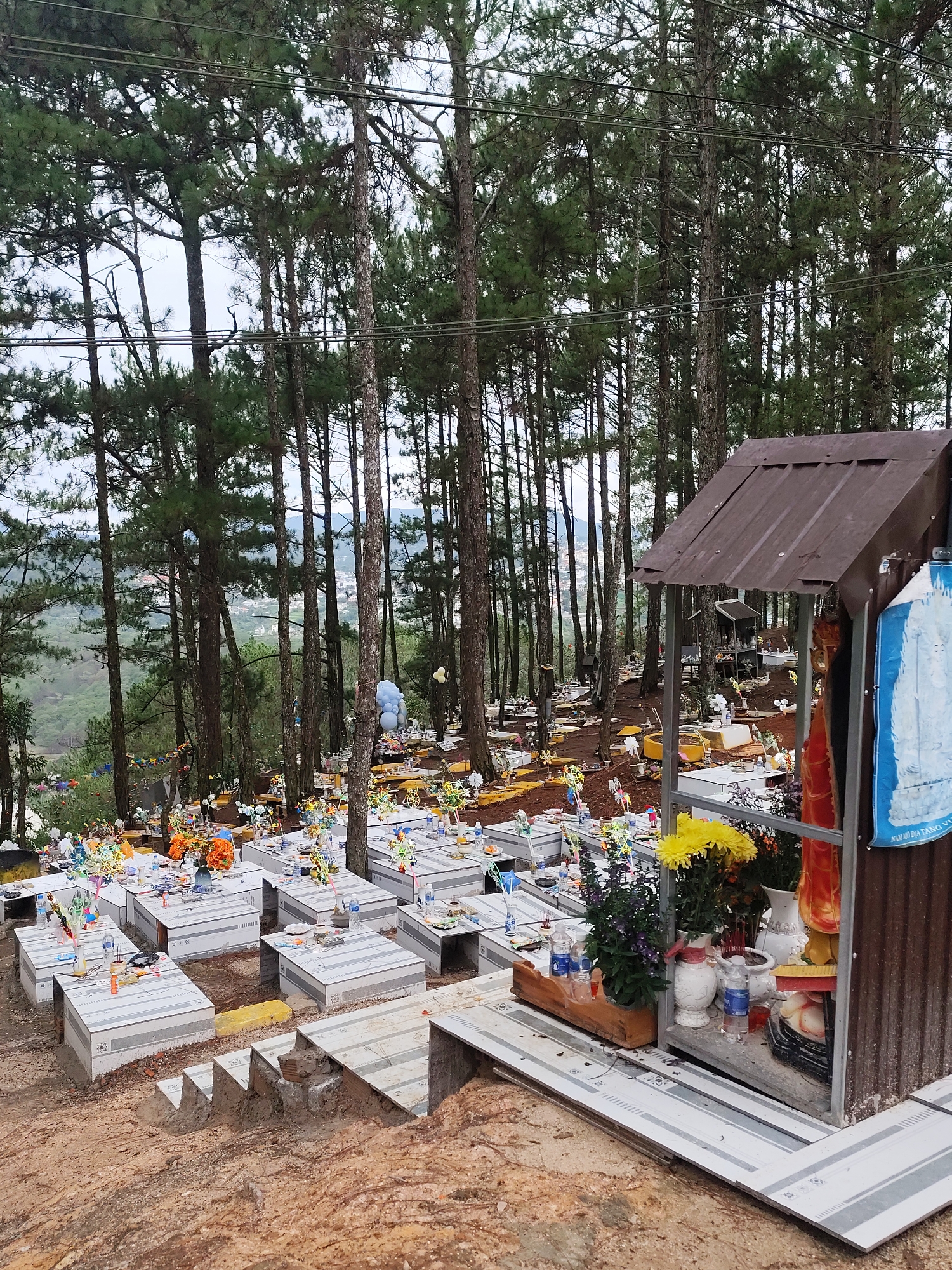 The image captures a cemetery in Xuân Thành, Vietnam. The cemetery is situated on a hillside amidst a dense pine forest. Many graves are visible, each marked by a rectangular structure adorned with flowers, religious objects, and offerings. In the foreground, a small shrine-like structure stands, decorated with flowers and a blue placard. The hillside is earthen, with steps leading up towards the graves. In the distance, the city of Xuân Thành can be partially seen through the trees. Overhead, power lines are visible. The scene appears to be a daytime shot, with diffused lighting.