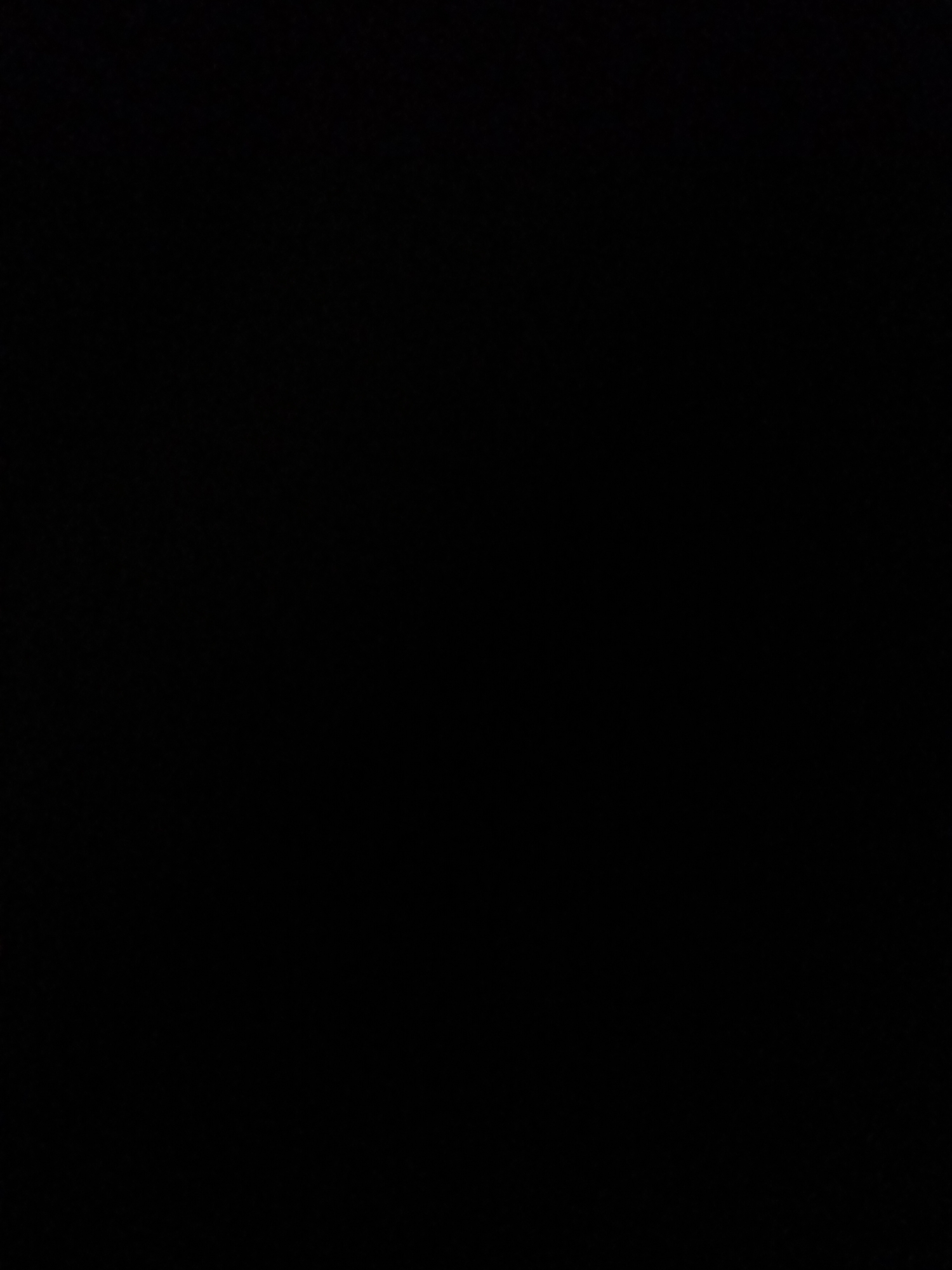 The image is entirely black, obscuring any potential subjects, objects, scene, or setting. No activity or event is visible, nor are there any notable details such as time of day, weather, location cues, or emotions. There is also no visible text. The image appears to be a blank black canvas.