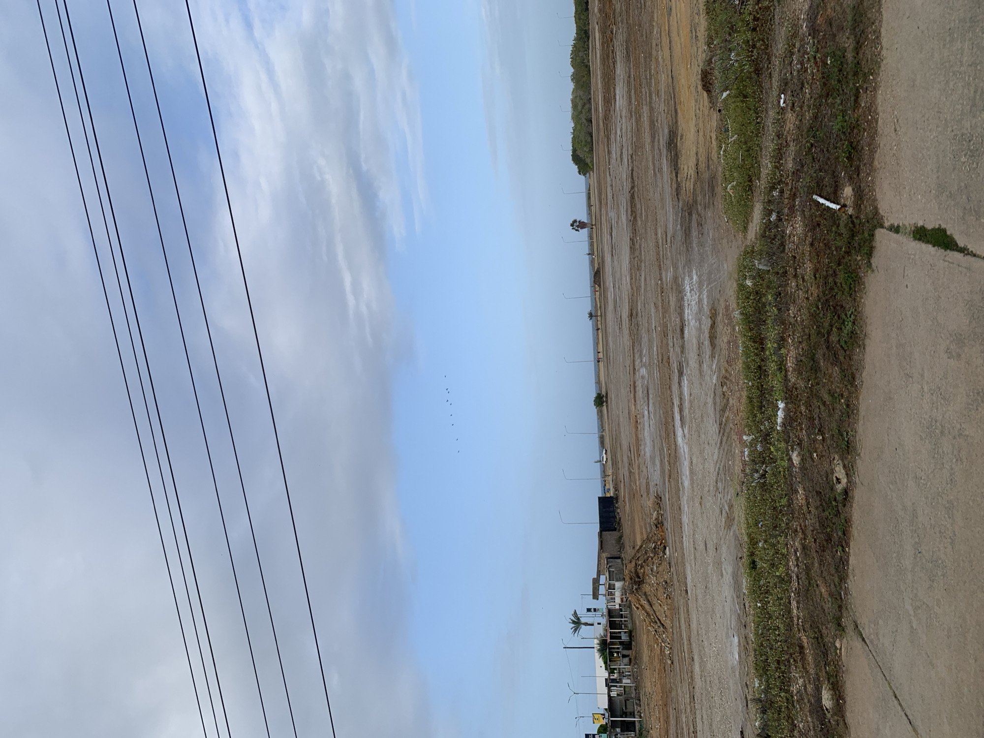 This media file captures a wide, open outdoor scene, likely in a developing or semi-urban area of Porlamar, Venezuela, under a partly cloudy sky during the daytime. The image, correctly oriented, shows a horizon line dividing the sky from the land.
In the upper left portion, several dark power lines stretch diagonally across the light blue and white cloudy sky. A flock of small birds is visible high in the sky, flying in a loose formation towards the center.
The middle and right portions of the image feature a vast expanse of unpaved, brownish dirt or muddy ground, which appears largely barren with some sparse patches of green vegetation and rocks. This dirt area fills a significant part of the mid-ground. Along the far right edge of the frame, there is a concrete path or road, bordering the dirt area. A narrow strip of unkempt grass and earth with some scattered litter, including a visible white cylindrical object (possibly a cigarette butt), separates the dirt expanse from the concrete path.
In the distance, along the horizon line, several streetlights are visible, stretching into the background. Further back, beyond the dirt area, there are some low-rise structures, possibly indicative of ongoing construction or derelict buildings. A single palm tree stands out among these distant structures. A line of denser, darker green foliage suggests a treeline or a more vegetated area beyond the structures, possibly indicating proximity to a shoreline, with a very faint hint of water further out. A small white vehicle is barely discernible in the far distance near this distant vegetation line.
No human activity is explicitly visible, aside from the distant hint of structures. There is no discernible text in the image. The lighting suggests a soft, diffused light, indicating it's not harsh midday sun, possibly morning or late afternoon.