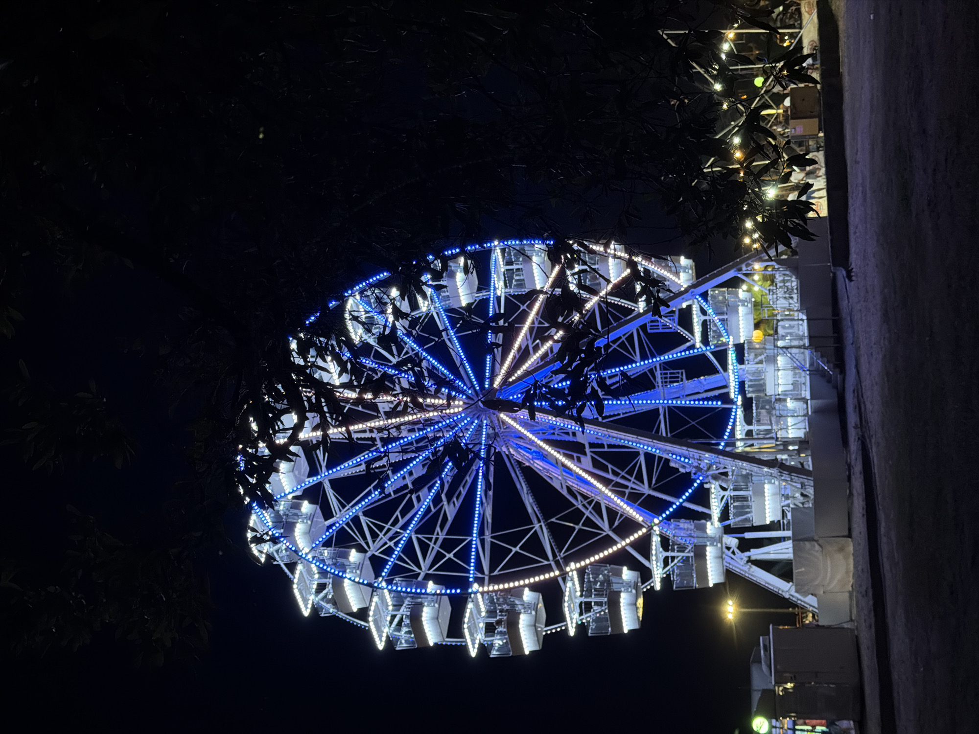 A large Ferris wheel is illuminated with blue and white lights against a dark night sky. The Ferris wheel has many gondolas, each with white exteriors and windows. A portion of the structure is obscured by dark foliage in the foreground. In the background, there are more lights, possibly from other attractions or stalls, and some indistinct figures can be seen. The ground in front of the Ferris wheel is a dark, unpaved area, suggesting a park or fairground setting. The overall scene depicts a lively nighttime atmosphere.