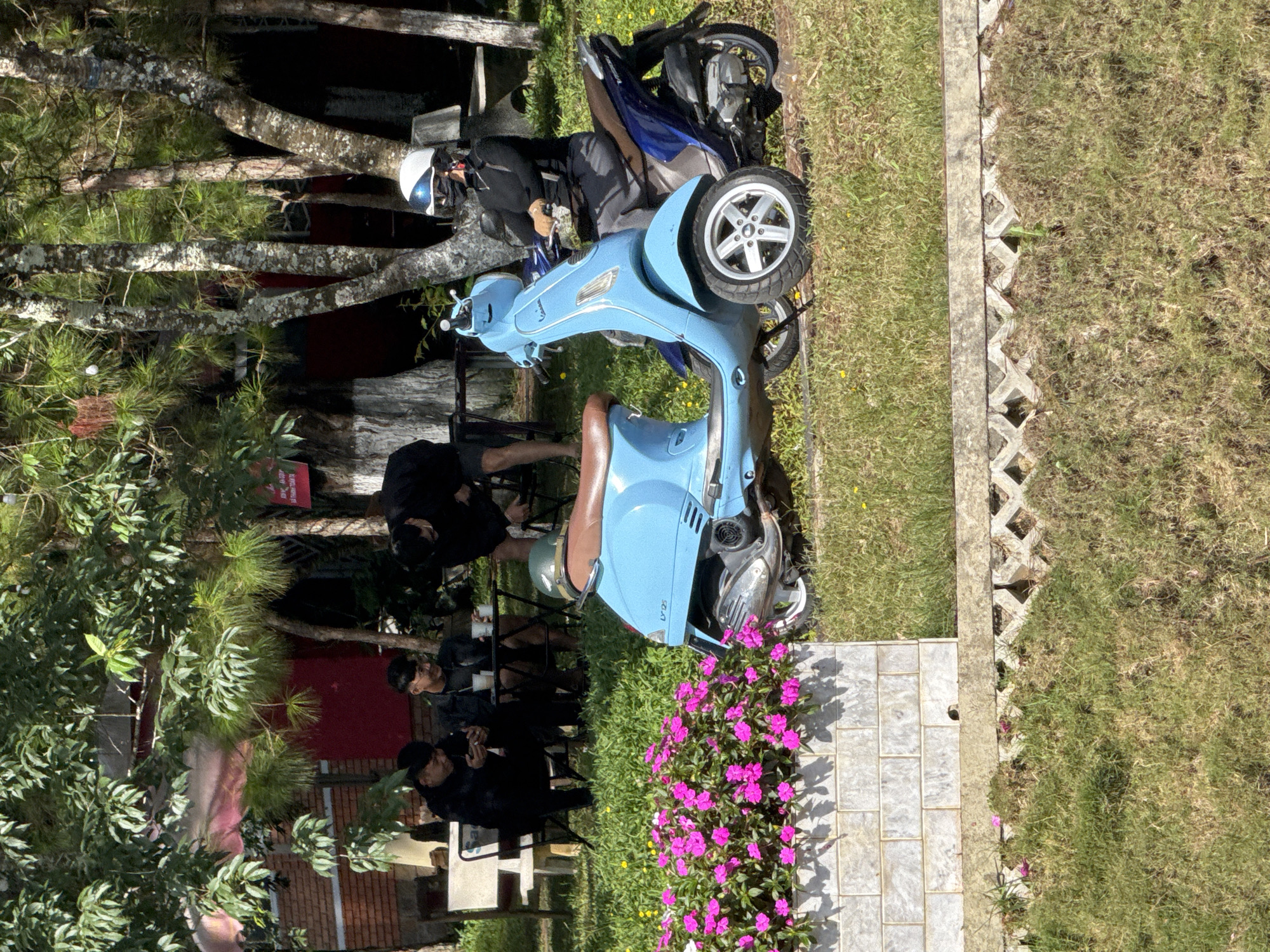 In Da Lat, Vietnam, on a sunny day, three men in black clothing are seated at a small table outdoors, appearing to engage in conversation. Beside them, a blue scooter is parked. Further to the right, a person wearing a helmet and a dark top is seated on a blue and dark-colored scooter. In the background, lush trees and foliage create a natural setting, with a brick building visible. Pink flowers are in bloom in the foreground, and the ground is covered with grass.