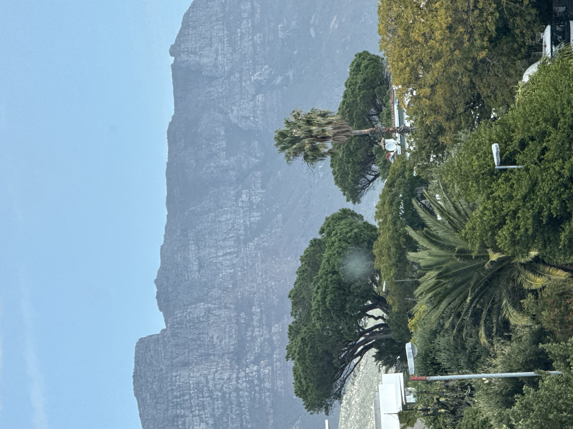 The image shows a hazy view of Table Mountain in Cape Town, South Africa. The mountain is the dominant feature, filling the left side of the frame. In the foreground, various trees and foliage obscure parts of the view. A palm tree is centrally located among other trees. At the base of the image, there's a suggestion of urban development with structures, possibly buildings. The overall atmosphere is overcast or misty, impacting visibility.