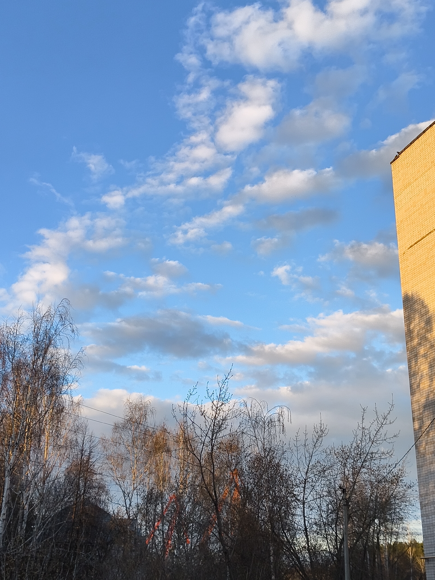 This vertical shot captures an outdoor scene featuring a vibrant sky, bare trees, and part of a brick building.
The upper two-thirds of the image are dominated by a clear, bright blue sky filled with scattered cumulus clouds. These clouds vary from fluffy white, catching the sunlight, to more diffuse, greyish forms, suggesting a mix of illumination and shadow.
In the foreground and extending across the lower portion of the frame, numerous deciduous trees and bushes stand mostly bare, indicating late autumn, winter, or early spring. Their intricate, fine branches are silhouetted against the sky, with some upper branches illuminated by a warm, golden light. Lighter-barked trees, possibly birches, are visible among the darker masses of branches. Through the dense network of branches, faint glimpses of distant structures or trees can be seen, including what appears to be reddish-orange equipment or a structure. Thin power lines stretch horizontally across the middle ground, threading through the bare tree canopy.
On the right side of the image, the upper section of a tall, light yellow brick building is visible. Its textured facade shows distinct brick patterns. The top right corner of the building is brightly lit by direct sunlight, while a large, diagonal shadow falls across its sunlit wall, likely cast by unseen foreground elements or another building. A small, dark object, appearing to be a bird, is perched on the very peak of the building's edge.
The scene conveys a sense of crisp, transitional weather, possibly late afternoon or early morning, given the warm, angled sunlight and visible shadows. No human figures or discernible text are present.