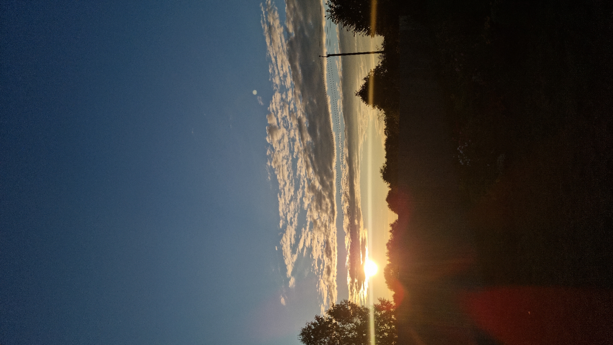 The image captures a sunset in Vysokoe, Russia. The sky is a gradient of blue, transitioning to lighter shades near the horizon where a bright sun is setting. Wispy clouds, illuminated by the sun's golden and orange light, stretch across the sky. Silhouetted against the vibrant sunset is a line of trees and foliage that forms the treeline of a field or meadow. A single, thin utility pole stands erect within this treeline on the right side of the frame. The foreground is dark and obscured, suggesting the viewer is looking out over a field or garden at dusk. There are no people or animals visible in the scene.